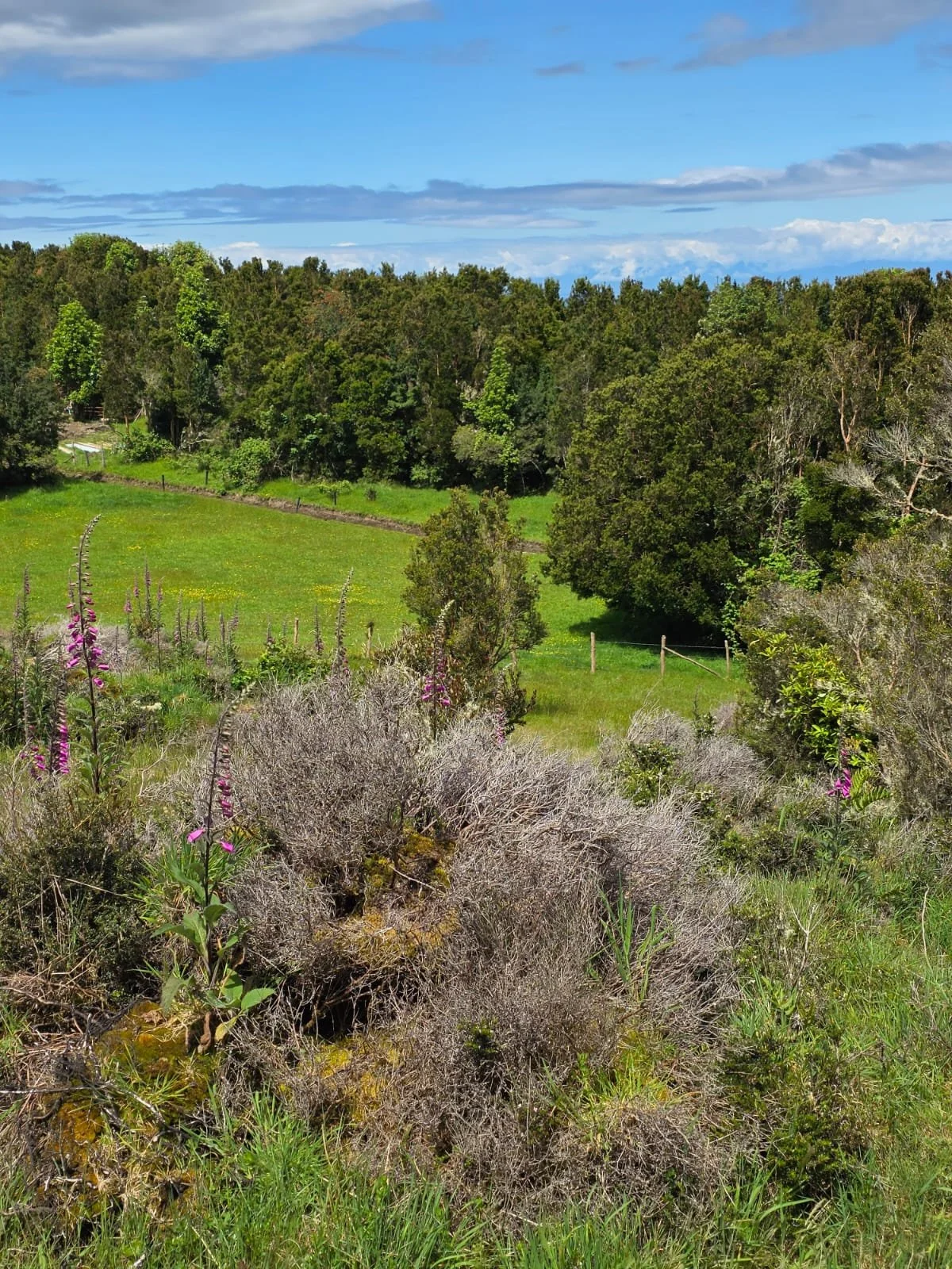 Detalles de las Unidades Disponibles:
Parcela Vista al Mar (5.000 m²): Valor: $20.000.000 (~UF 523).
Parcela Interior (5.000 m²): Valor: $15.000.000 (~UF 392).
Macrolote de 1,1 Hectáreas (11.000 m²): Valor: $30.000.000 (~UF 784).