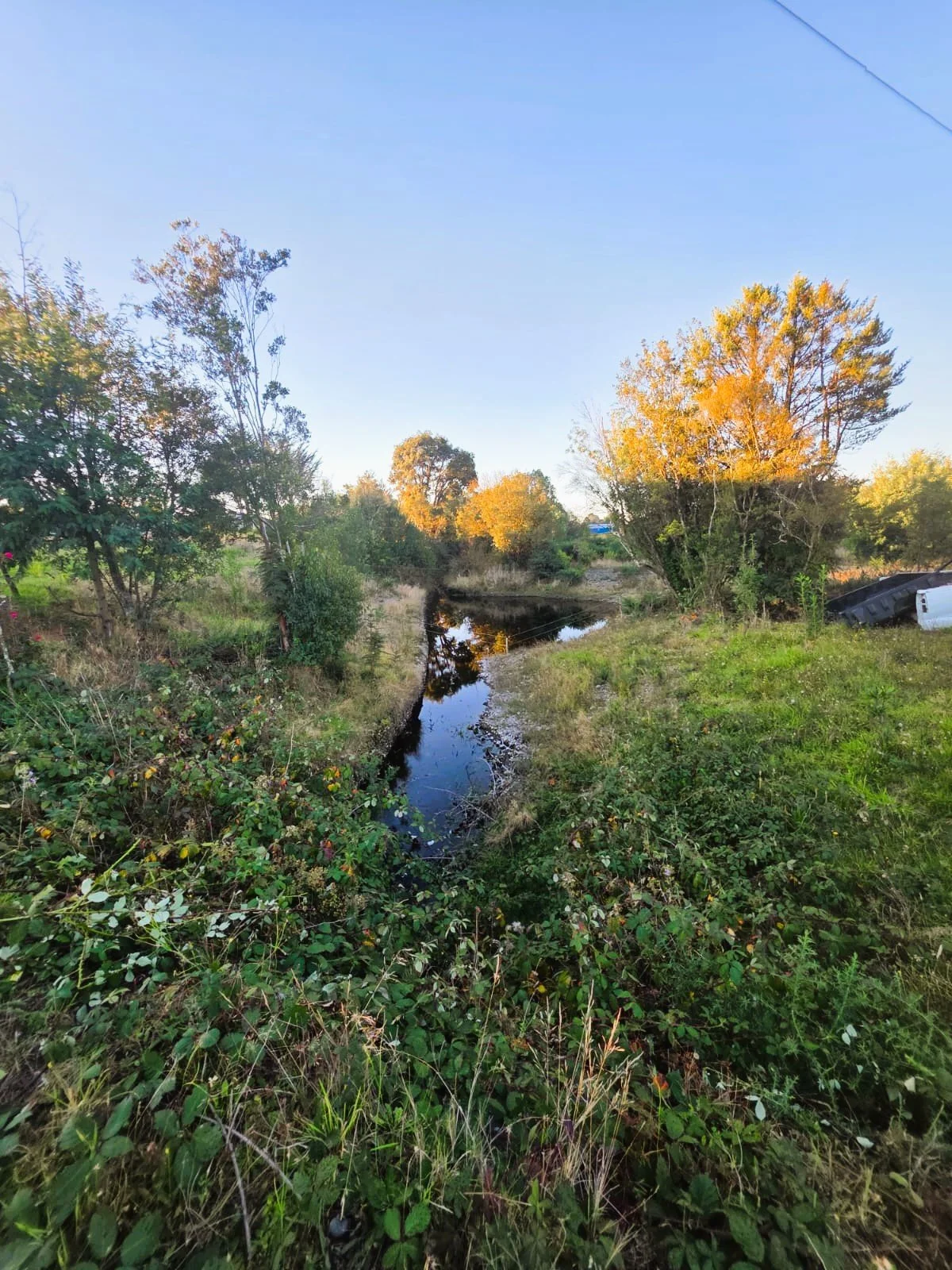 Superficie Total: 5.000 m² de terreno con
estero propio dentro de la propiedad.
