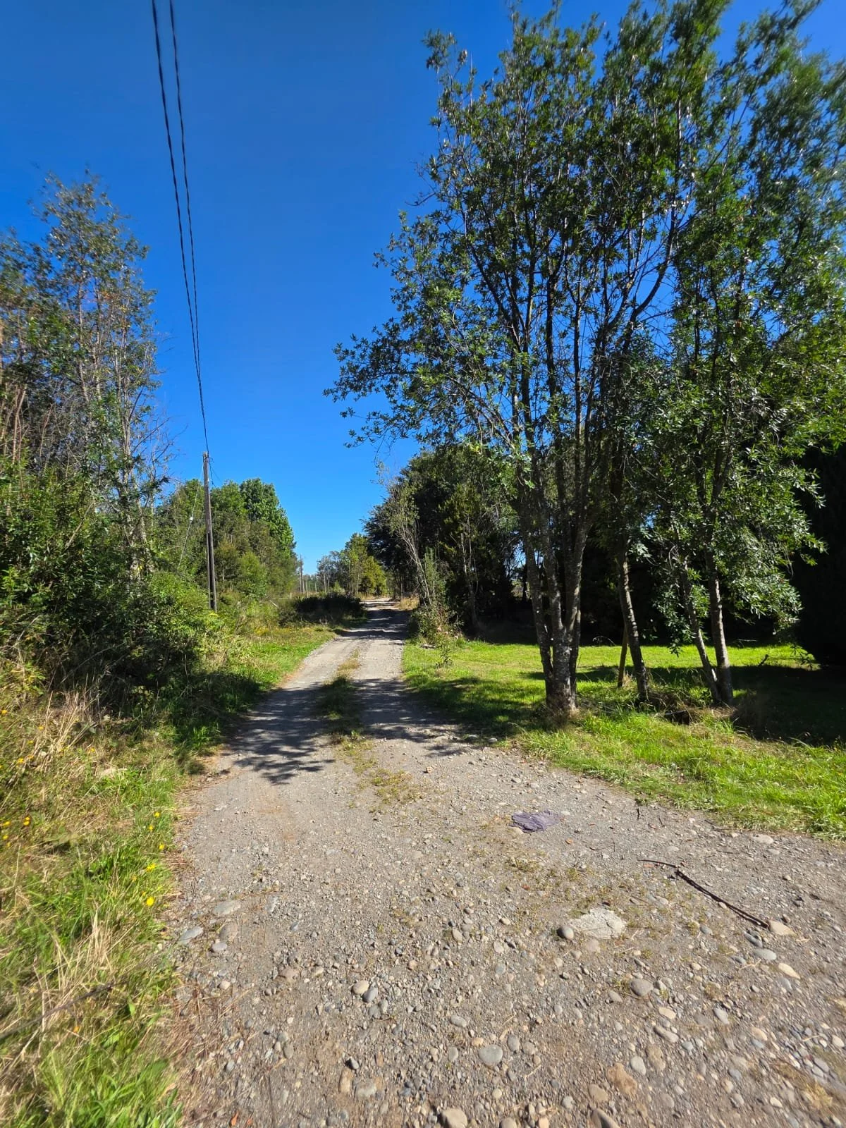 WhatsApp Image 2026-03-25 at 01.09.13 (4).jpeg