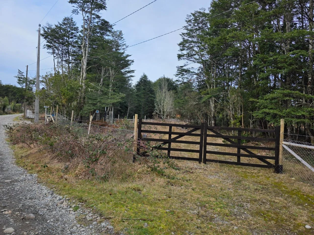 WhatsApp Image 2025-08-13 at 3.19.25 PM.jpeg