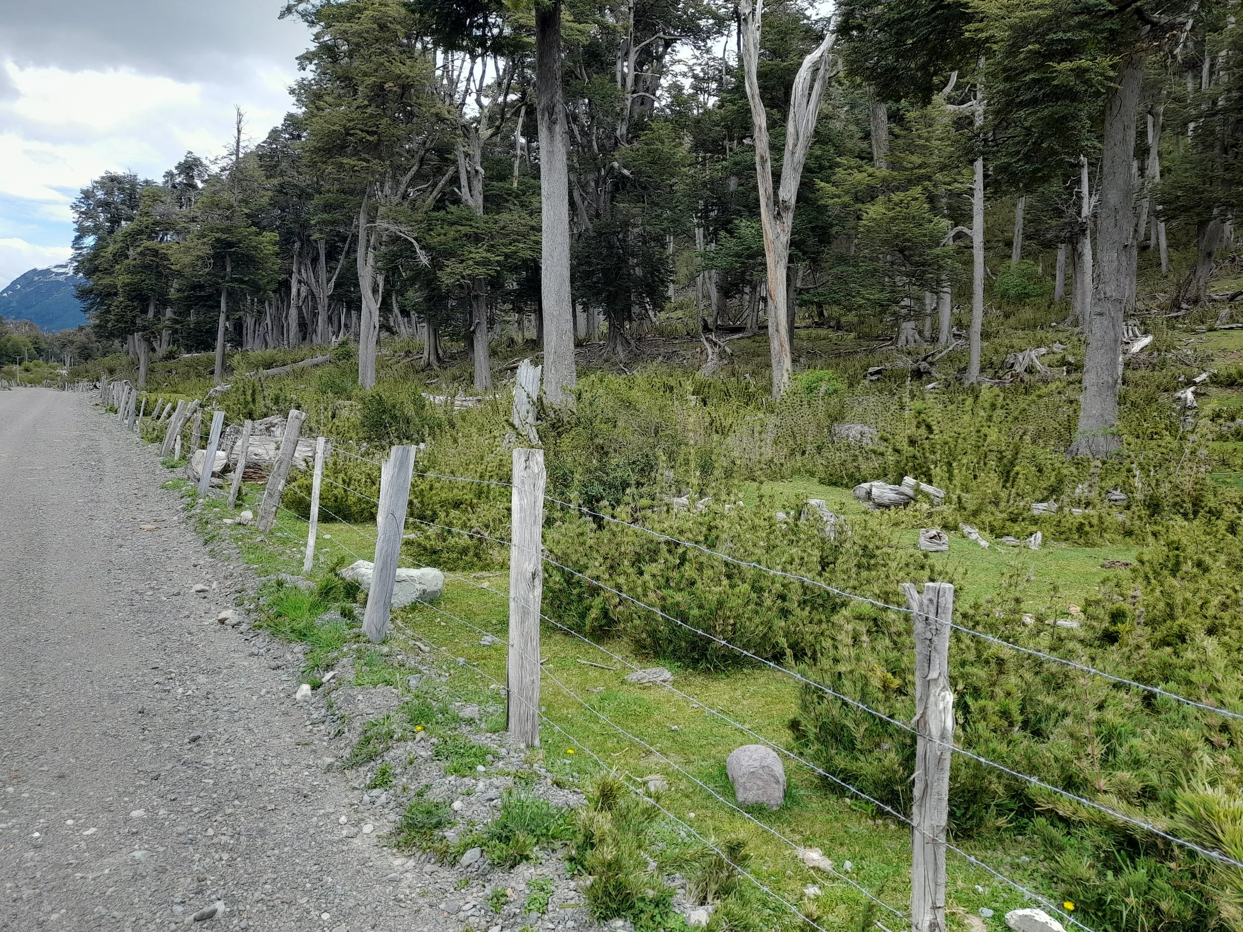 EN VENTA: predio de 5 hectáreas, subdivididas en parcelas de 10.000 m² (1 hectárea).
DESDE: $85.000.000.-