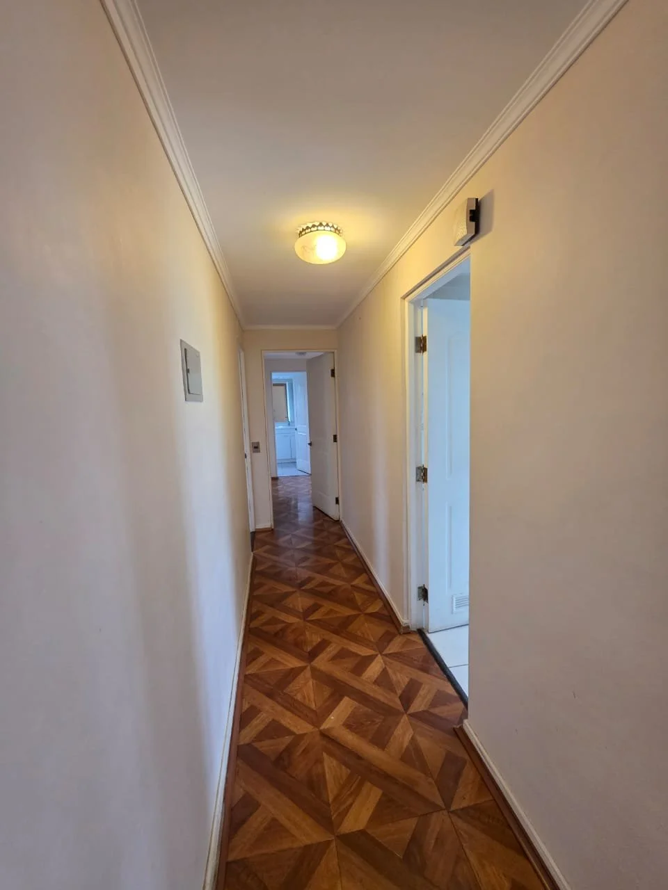 WhatsApp Image 2026-01-05 at 16.55.52 (2).jpeg