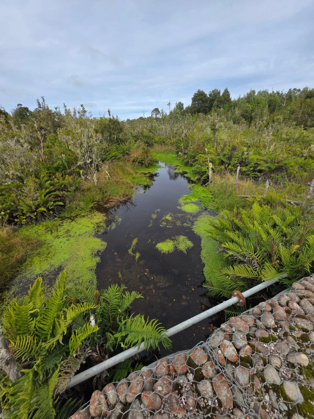 Superficie Total: 4,64 Hectáreas (46.400 m2).
Factibilidad Eléctrica.
Factibilidad de Agua.