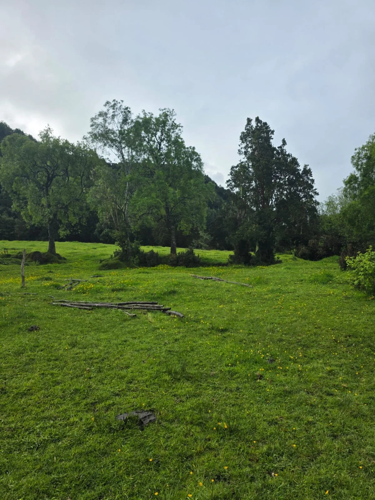 WhatsApp Image 2025-12-01 at 15.17.59.jpeg