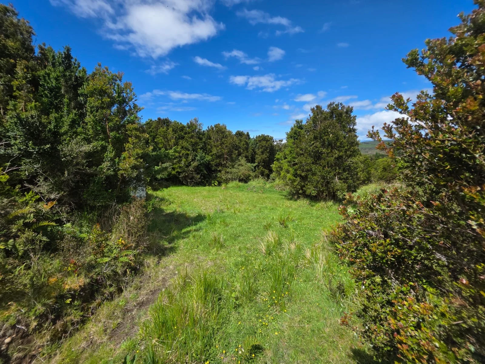 Detalles de las Unidades Disponibles:
Parcela Vista al Mar (5.000 m²): Valor: $20.000.000 (~UF 523).
Parcela Interior (5.000 m²): Valor: $15.000.000 (~UF 392).
Macrolote de 1,1 Hectáreas (11.000 m²): Valor: $30.000.000 (~UF 784).