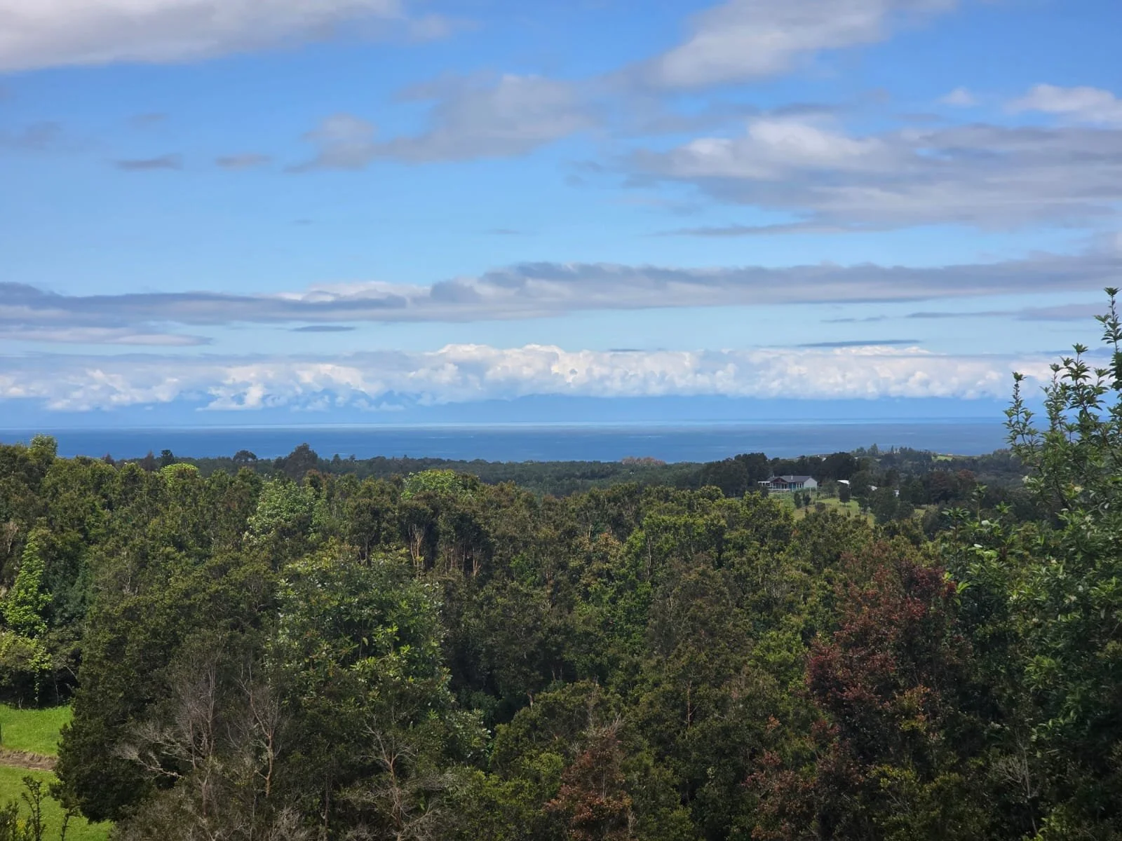 Detalles de las Unidades Disponibles:
Parcela Vista al Mar (5.000 m²): Valor: $20.000.000 (~UF 523).
Parcela Interior (5.000 m²): Valor: $15.000.000 (~UF 392).
Macrolote de 1,1 Hectáreas (11.000 m²): Valor: $30.000.000 (~UF 784).