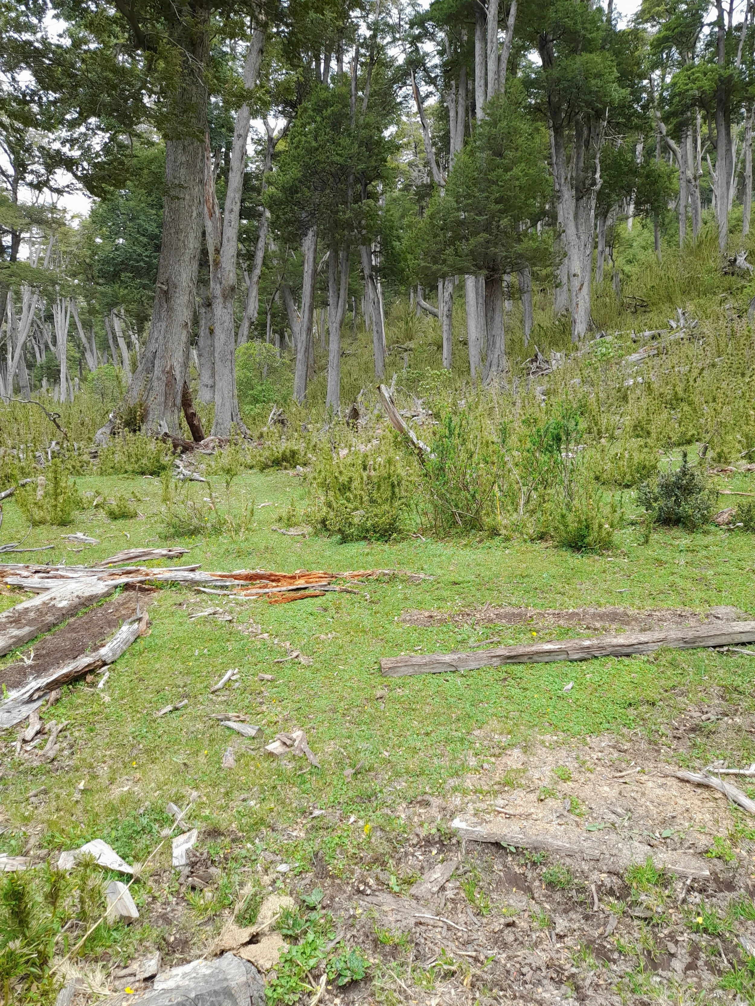 EN VENTA: predio de 5 hectáreas, subdivididas en parcelas de 10.000 m² (1 hectárea).
DESDE: $85.000.000.-