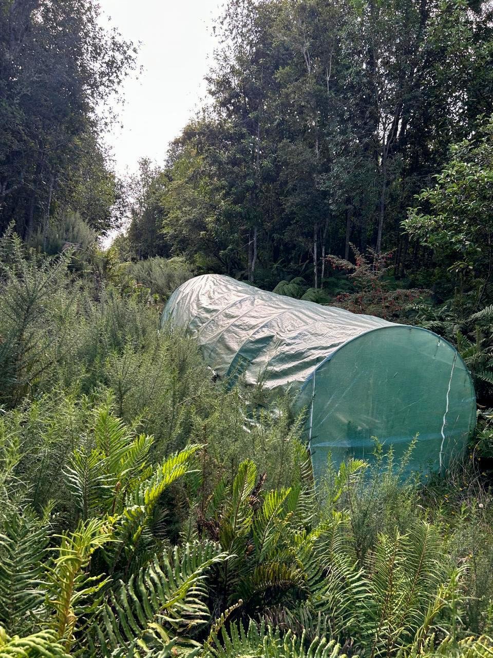 5000 M2 en Condominio Hacienda Chamiza