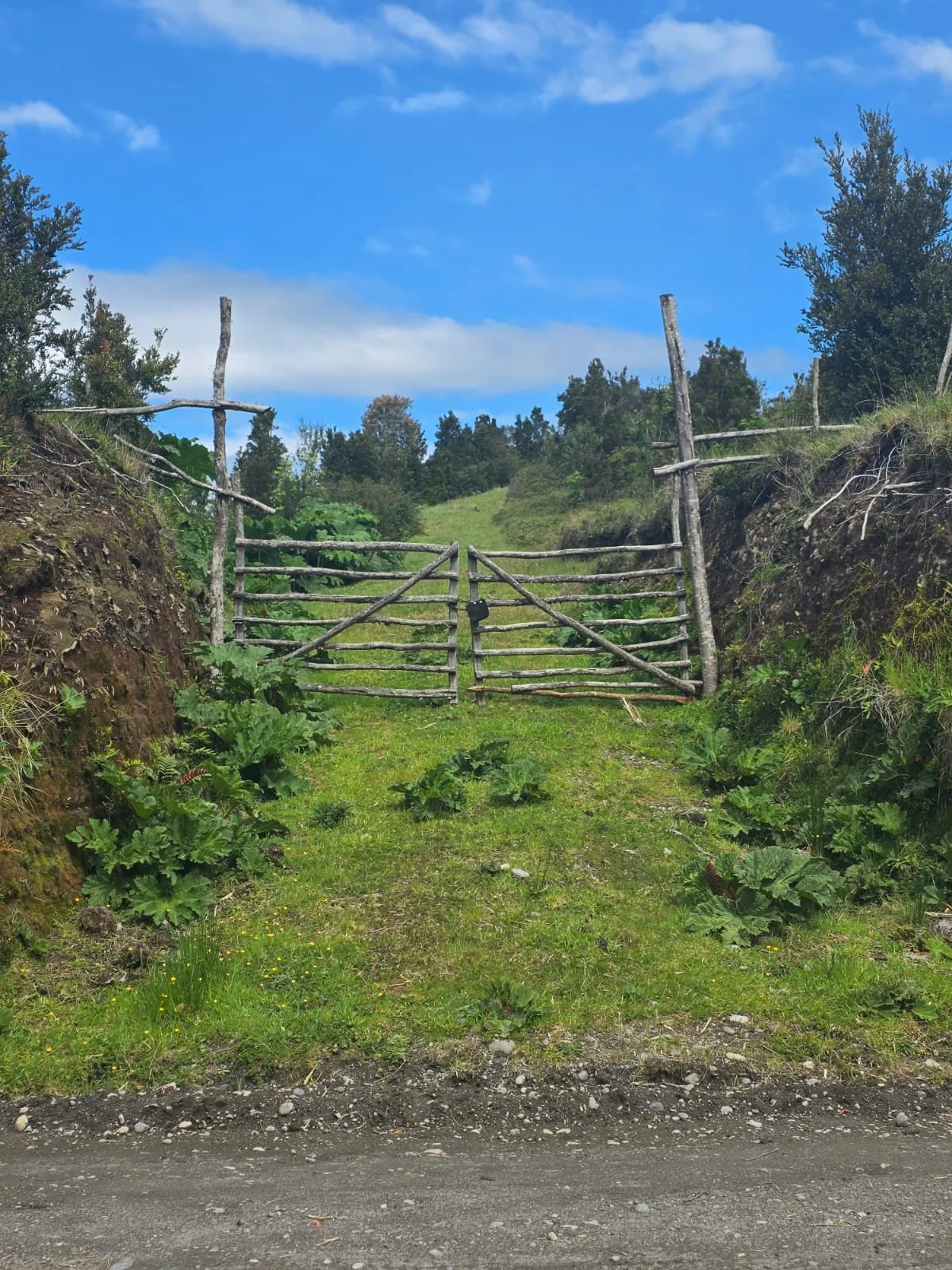 Detalles de las Unidades Disponibles:
Parcela Vista al Mar (5.000 m²): Valor: $20.000.000 (~UF 523).
Parcela Interior (5.000 m²): Valor: $15.000.000 (~UF 392).
Macrolote de 1,1 Hectáreas (11.000 m²): Valor: $30.000.000 (~UF 784).