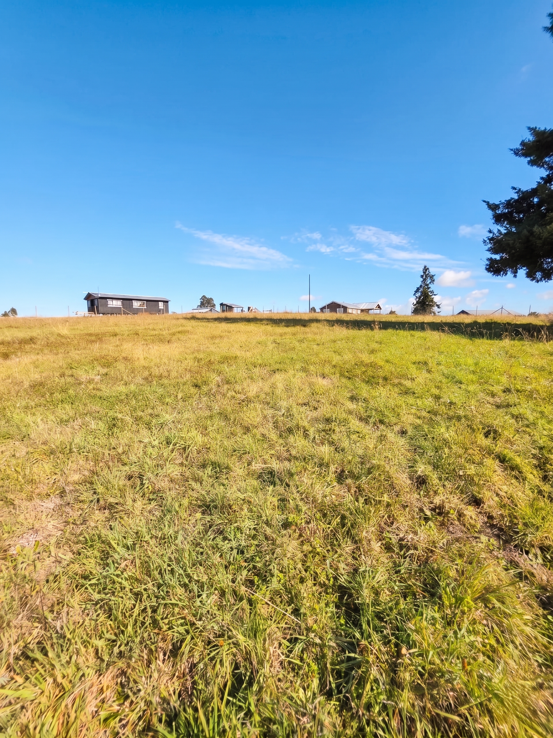 Superficie: 5.000 M².
Ubicación: Parcelación, condominio cerrado, Aires de Fresia / Cañitas.
Entorno: Pradera con árboles nativos.
Disponibilidad: Inmediata.¡Lista para escriturar!