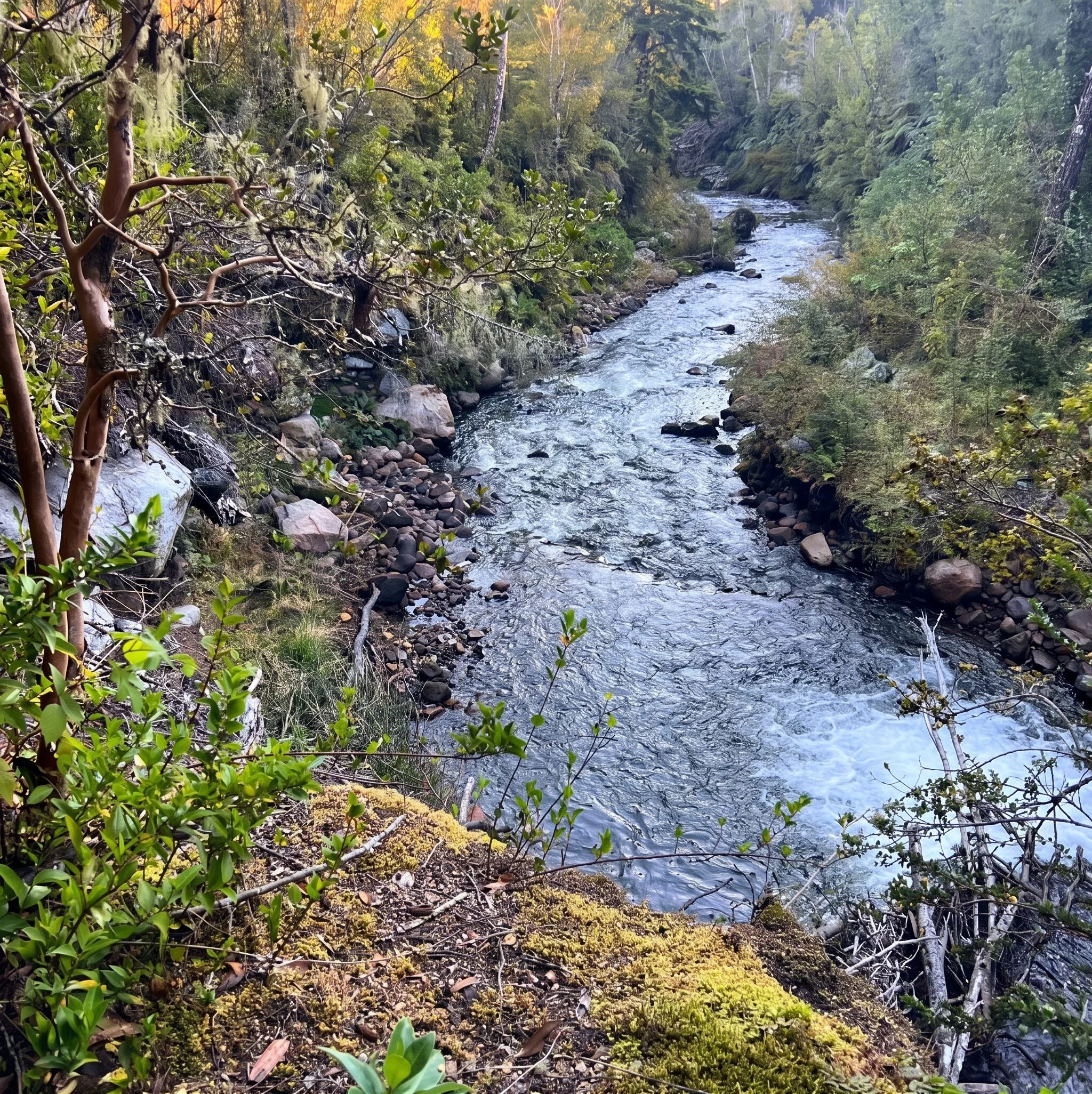 Características principales:
Superficie total: 3,3 hectáreas (2,83 ha aprovechables)
Orilla de río: 75 metros lineales con acceso directo a las aguas del Río Correntoso
Servicios: Factibilidad real de agua y electricidad
Ubicación estratégica: A minu