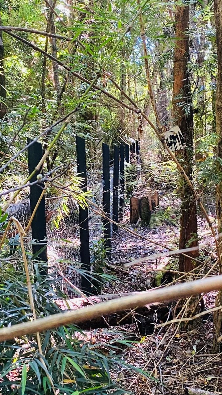 Parcela 100% cerrada