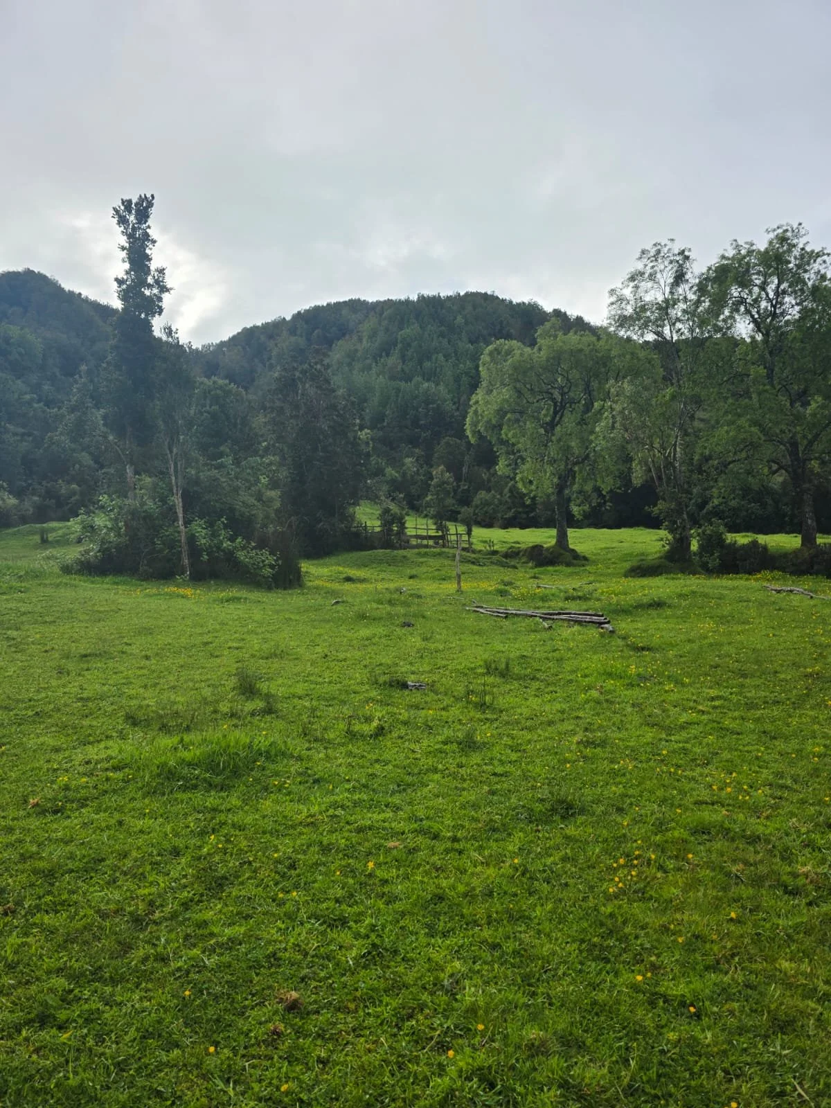 WhatsApp Image 2025-12-01 at 15.17.58.jpeg