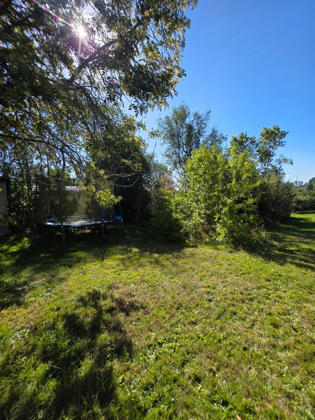 WhatsApp Image 2026-03-26 at 01.37.41 (5).jpeg