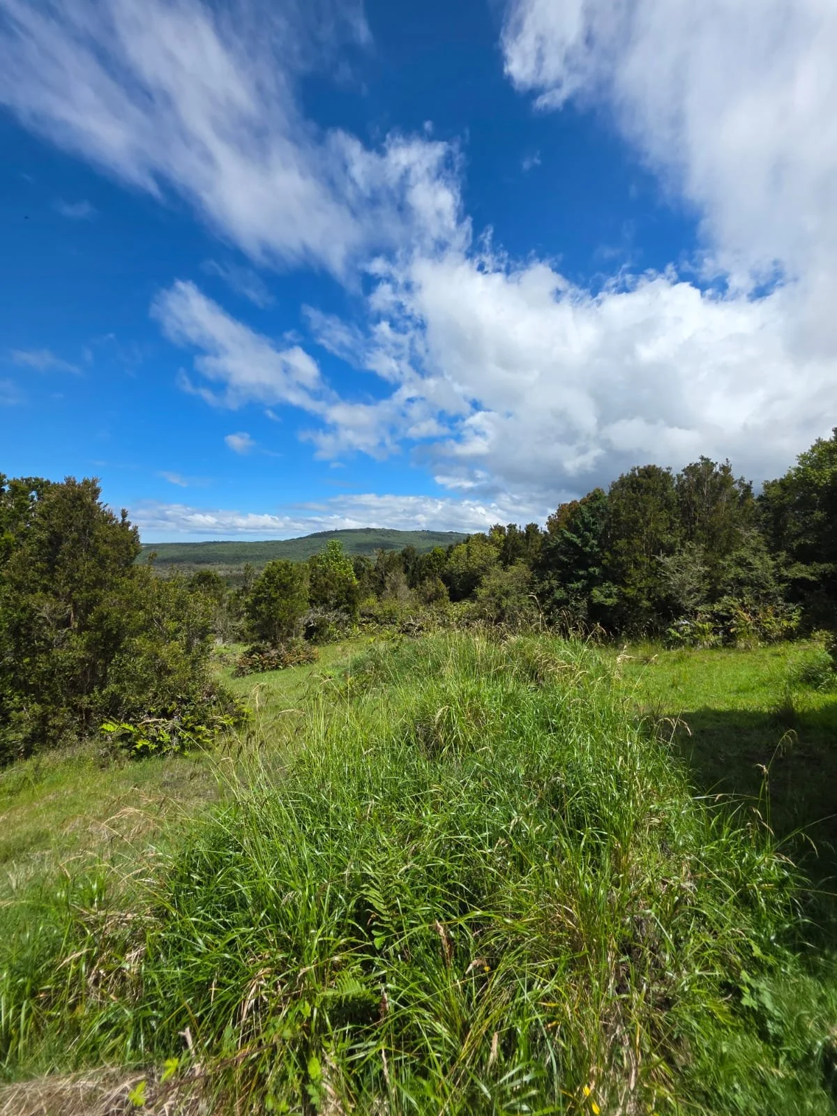 Detalles de las Unidades Disponibles:
Parcela Vista al Mar (5.000 m²): Valor: $20.000.000 (~UF 523).
Parcela Interior (5.000 m²): Valor: $15.000.000 (~UF 392).
Macrolote de 1,1 Hectáreas (11.000 m²): Valor: $30.000.000 (~UF 784).