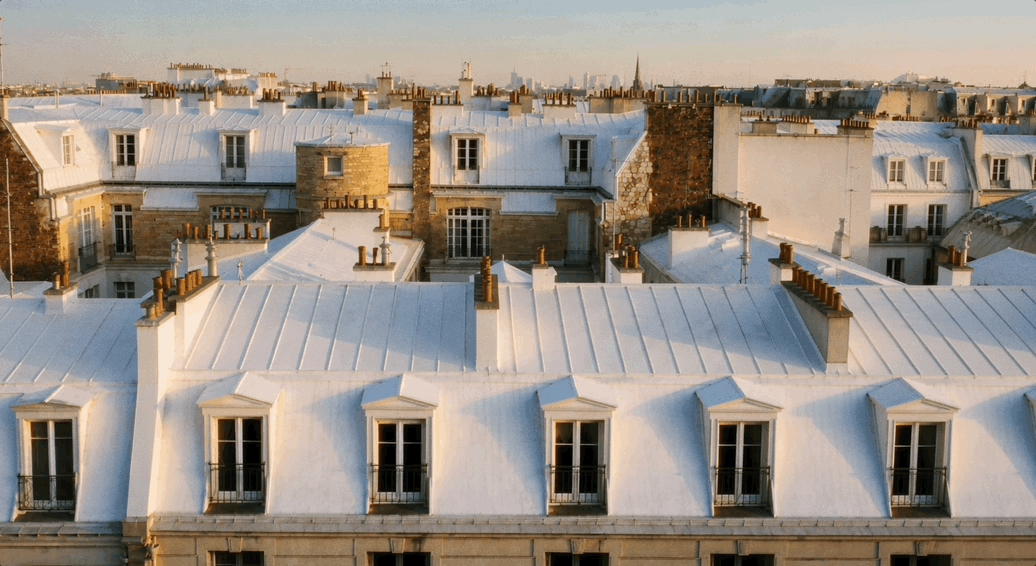 LES TOITS DE PARIS