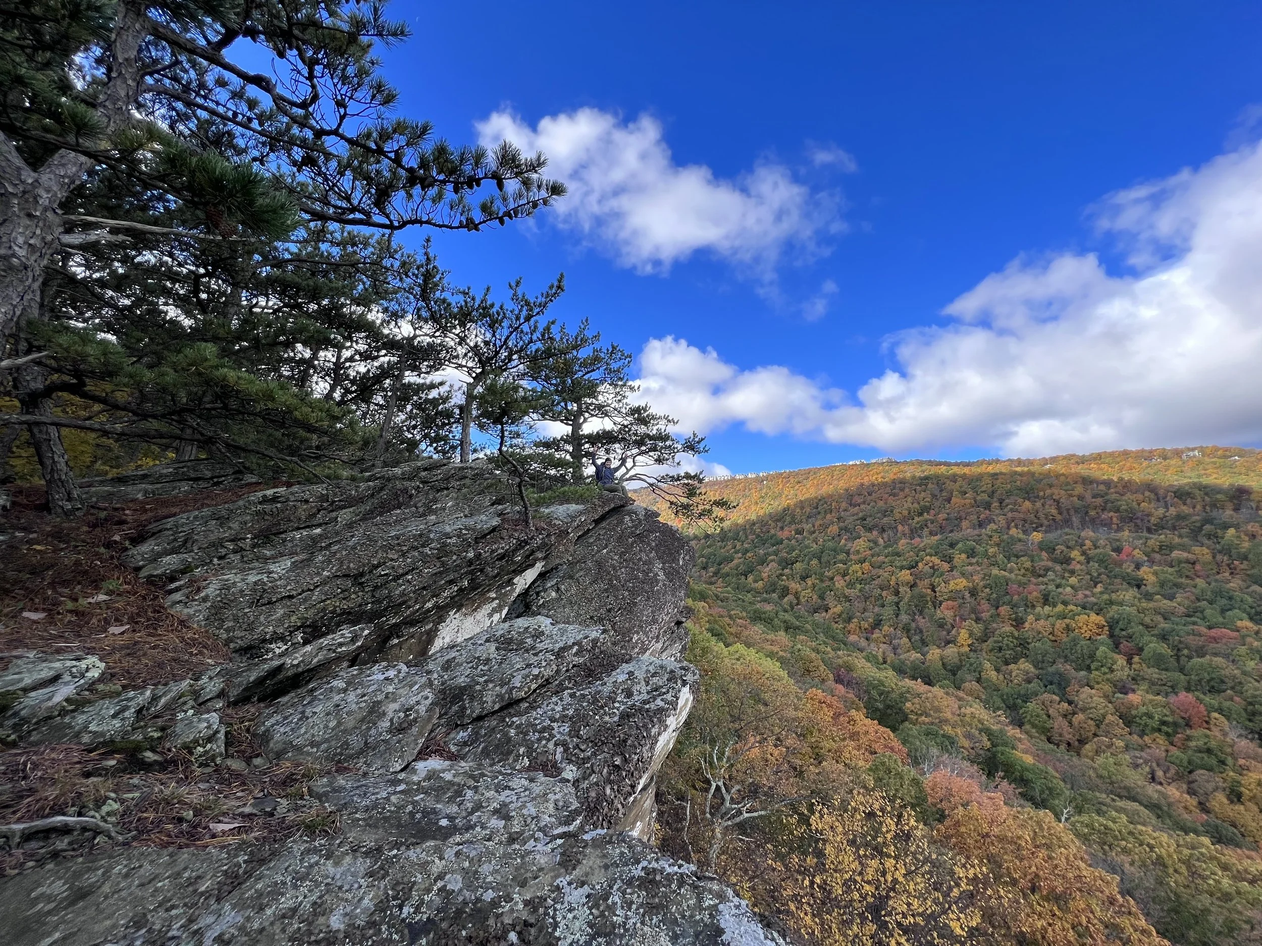 A rocky outcrop with pine trees on a mountain slope overlooking a fall-colored forest under a partly cloudy blue sky.