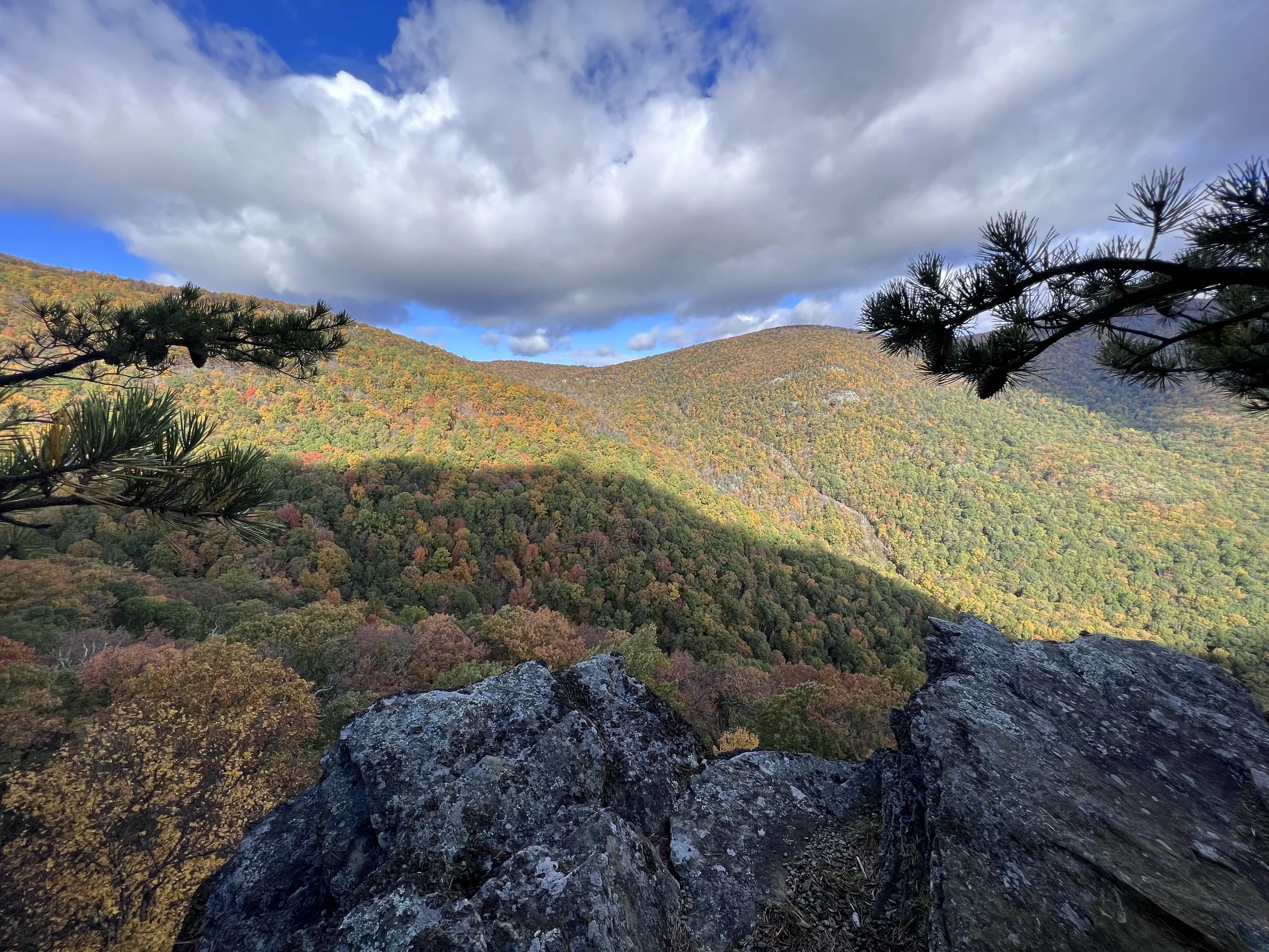 Mountain landscape with colorful autumn trees, partly cloudy sky, rocky foreground, and pine tree branches in the foreground.