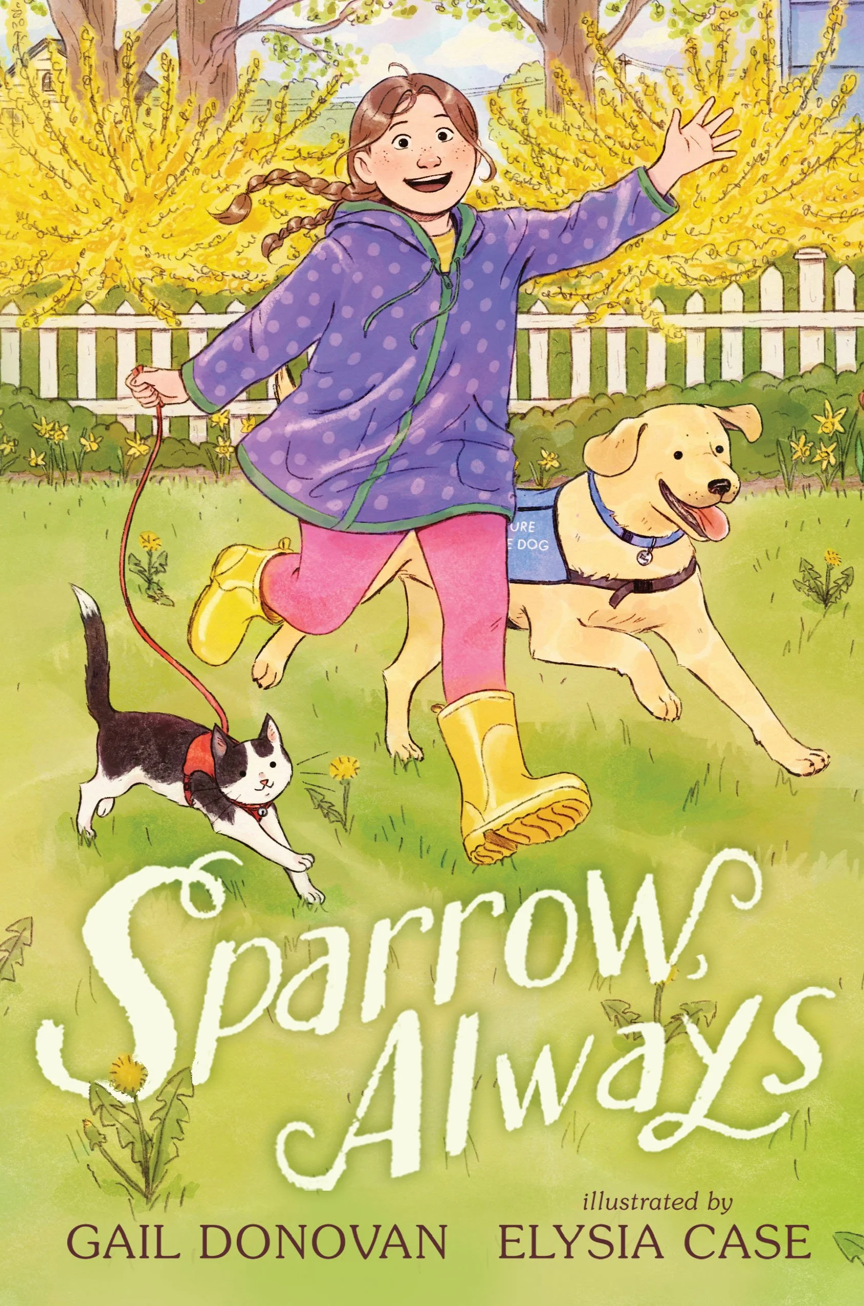 Sparrow, Always