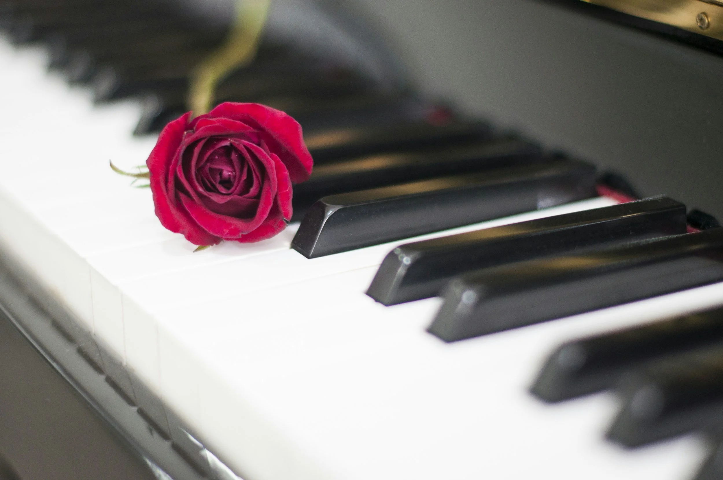 What Love Asks of Us