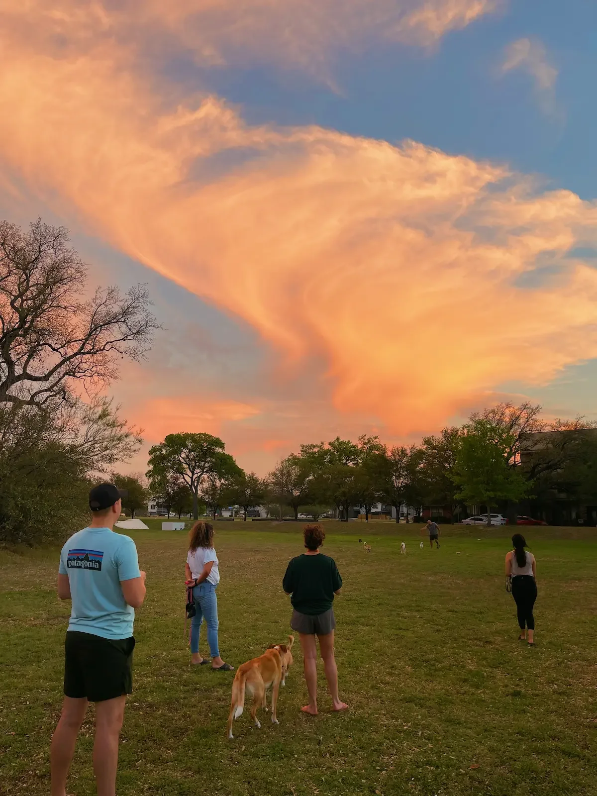 Group of friends standing together at sunset in a grassy park, symbolizing the importance of connection and support in anxiety therapy and trauma therapy for young adults in their 20s and 30s in Largo, Florida and San Antonio, Texas.