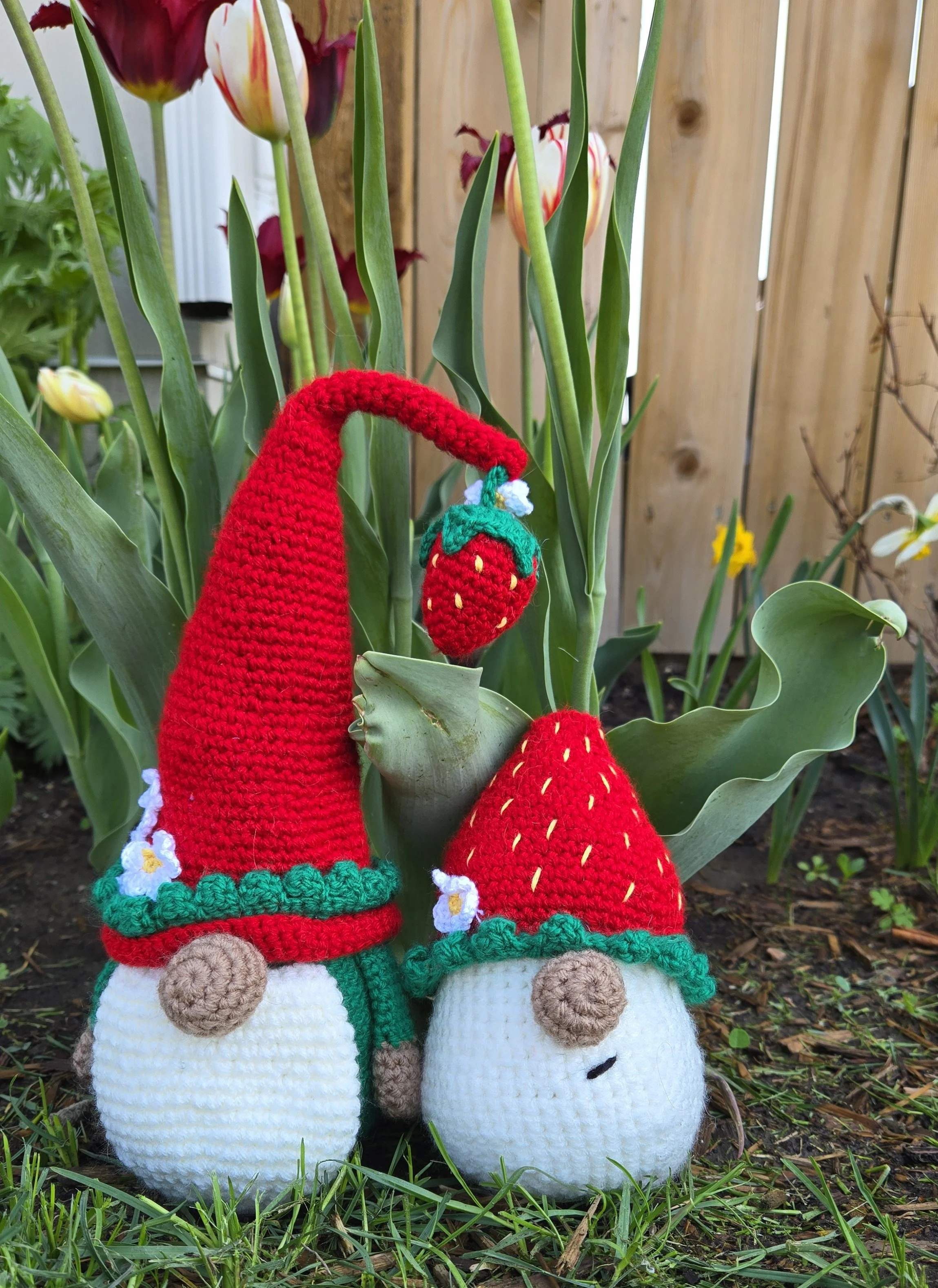 Stawberry Gnomes