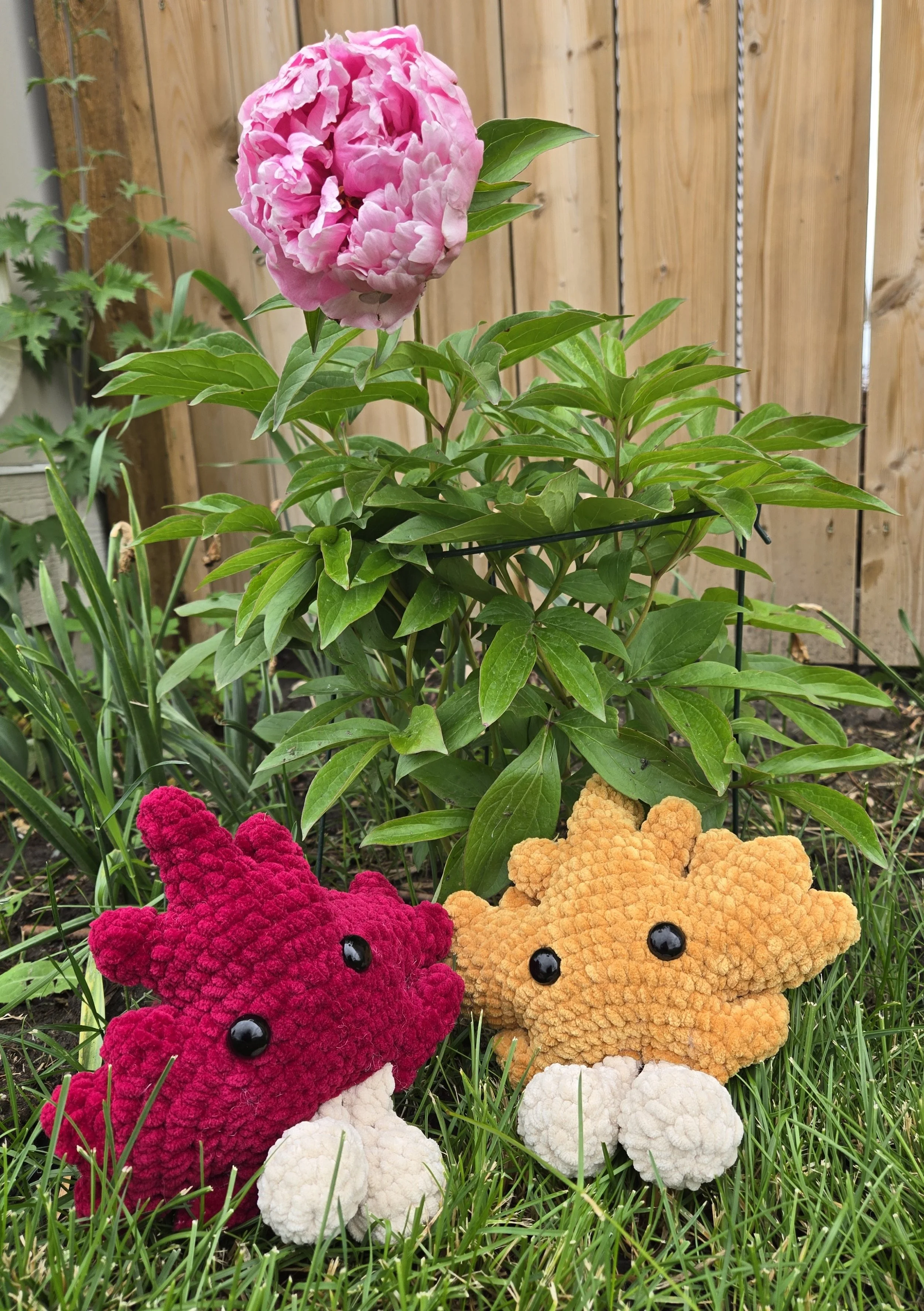 Maple the Maple Leaf