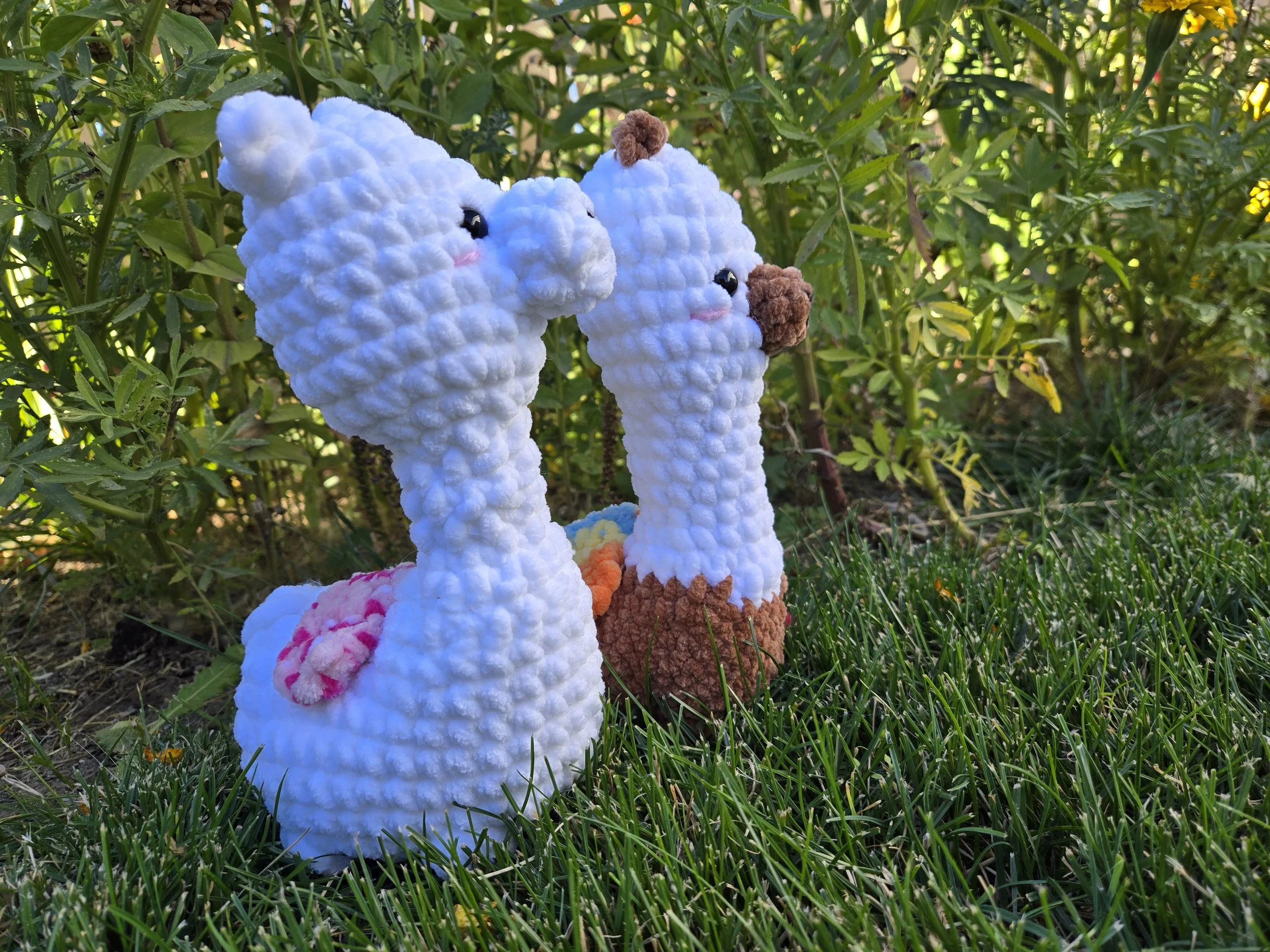 Llama