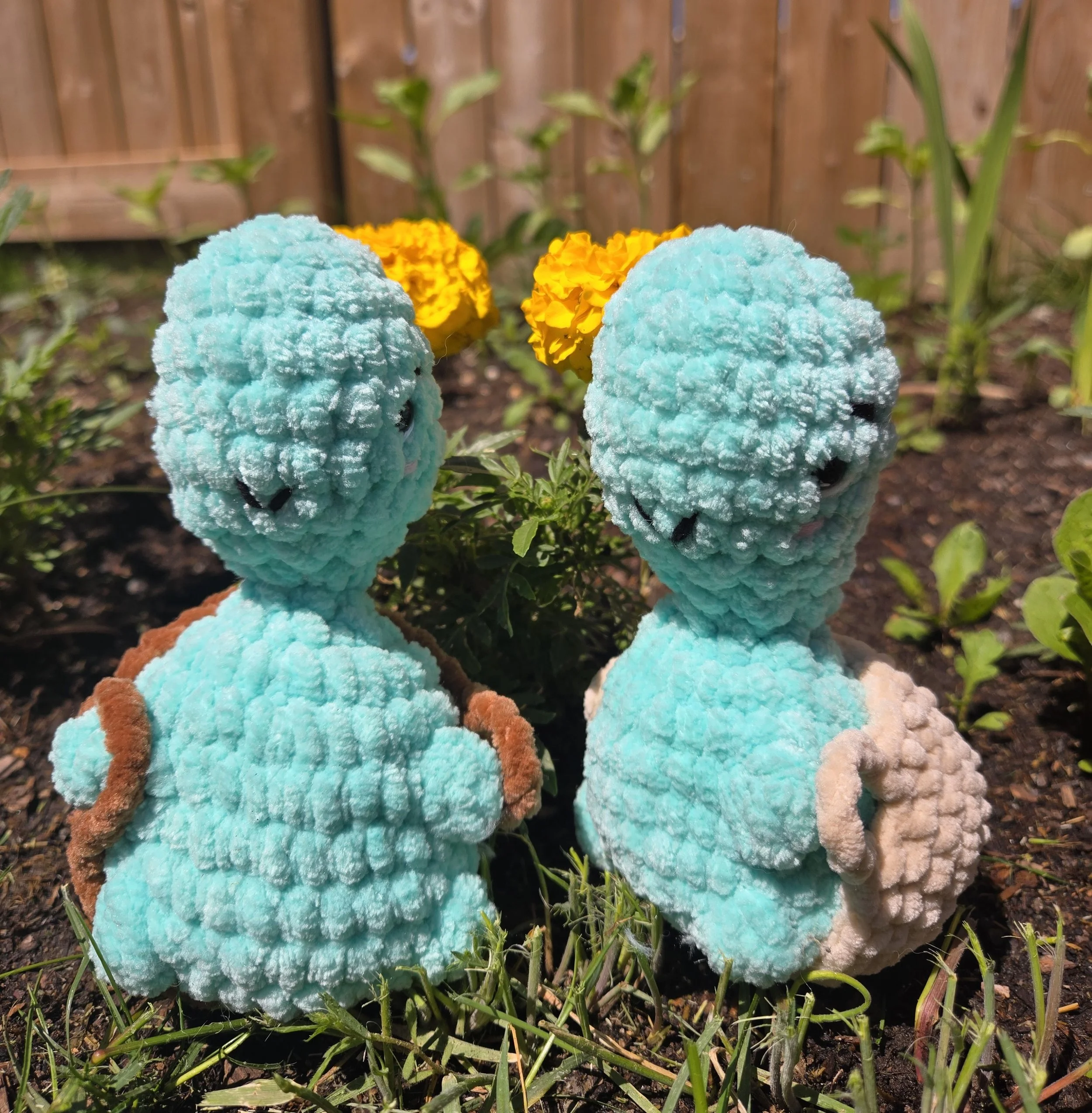 Tommy the Cheeky Turtle