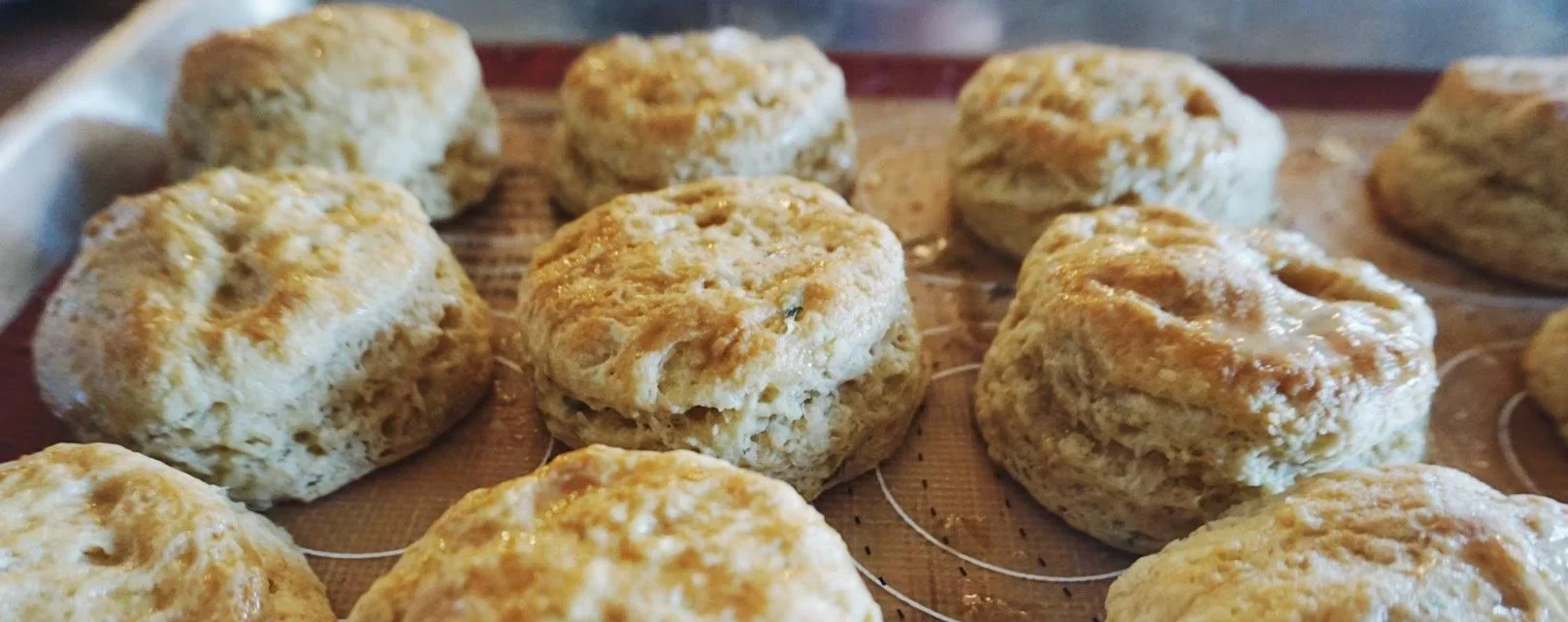 The Biscuit That         Started at Home