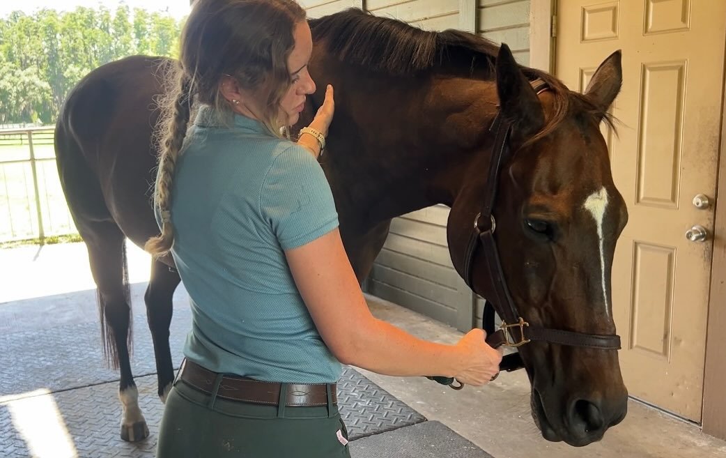 One thing my trainer always says to me is to be proactive rather than reactive when riding- the same goes for equine massage therapy!
Horses are masters at hiding pain — by the time you see an issue, it’s often been there for a while. R