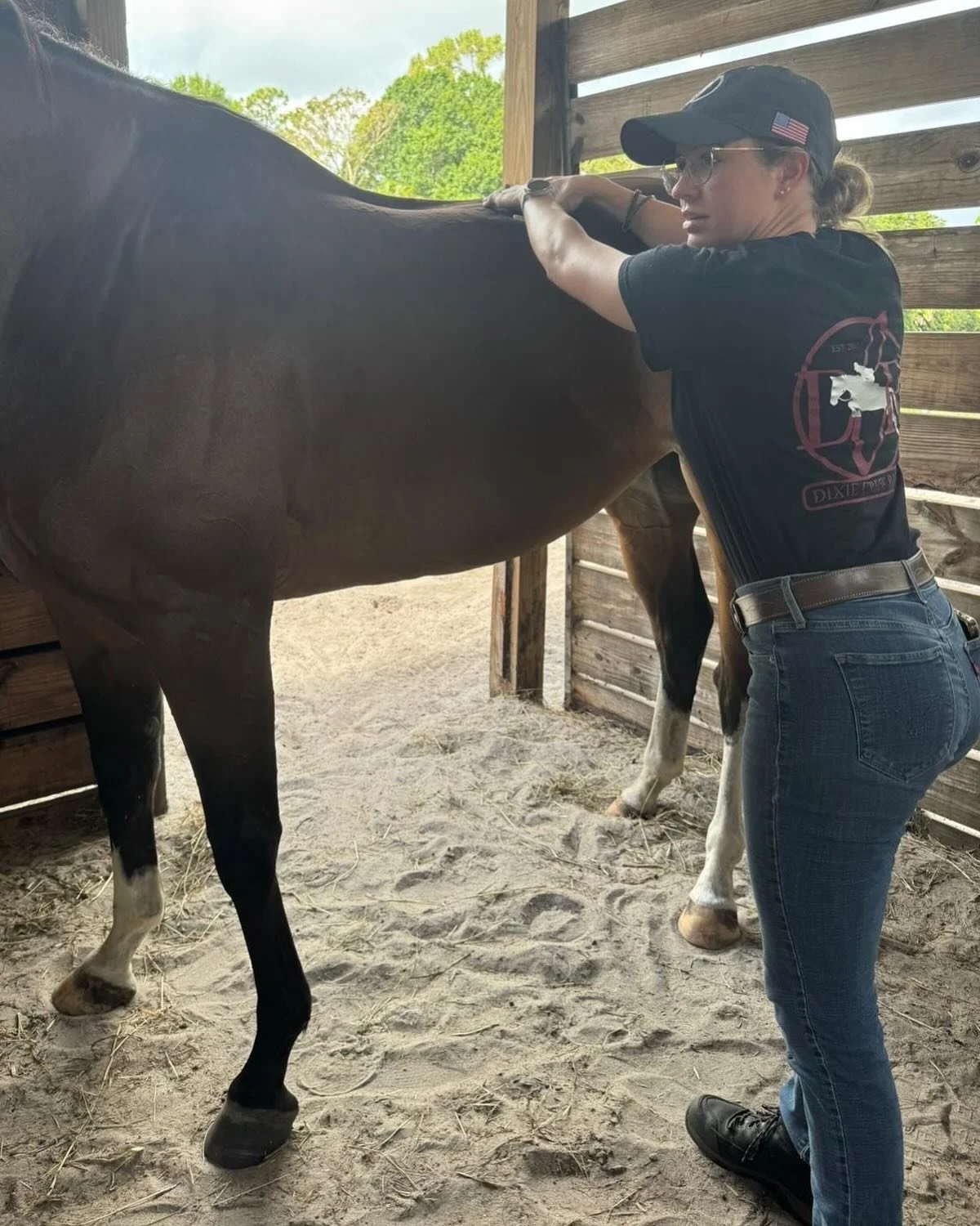 β¨ Helping horses one massage at a time β¨
Dixie Creek Equine Therapy is now accepting new clients! π
Book your first equine sports massage session and get 10% off! π
Your horse deserves to feel their best — let’s get them moving comforta
