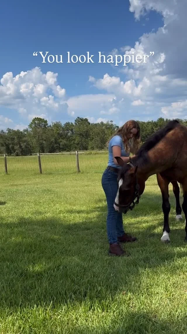 When a horse feels their best, the effects are transferred to everyone around them. π΄β¨
From elite Grand Prix athletes to beloved retired seniors, every horse deserves the benefits of massage therapy — for comfort, performance, and overall wel