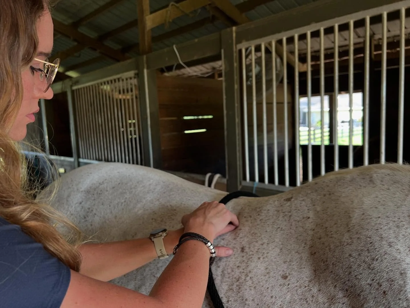 Happy Monday! π΄β¨
Let’s start the week off right—with a relaxing equine sports massage session!
π‘Fun fact: While horse massage has been around forever, it was brought into the spotlight by Jack Meagher—the father of sports massage.