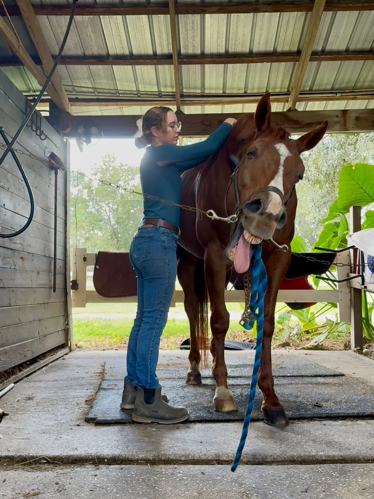 Happy Halloween from Dixie Creek Equine Therapy! 🎃🕷️🕸️
This adorable pumpkin boy is here to remind you to treat, not trick, your horse this Halloween! 🍬🐴 Give your spooky steed the gift of relaxation with a massage session from Dixie Creek Equin