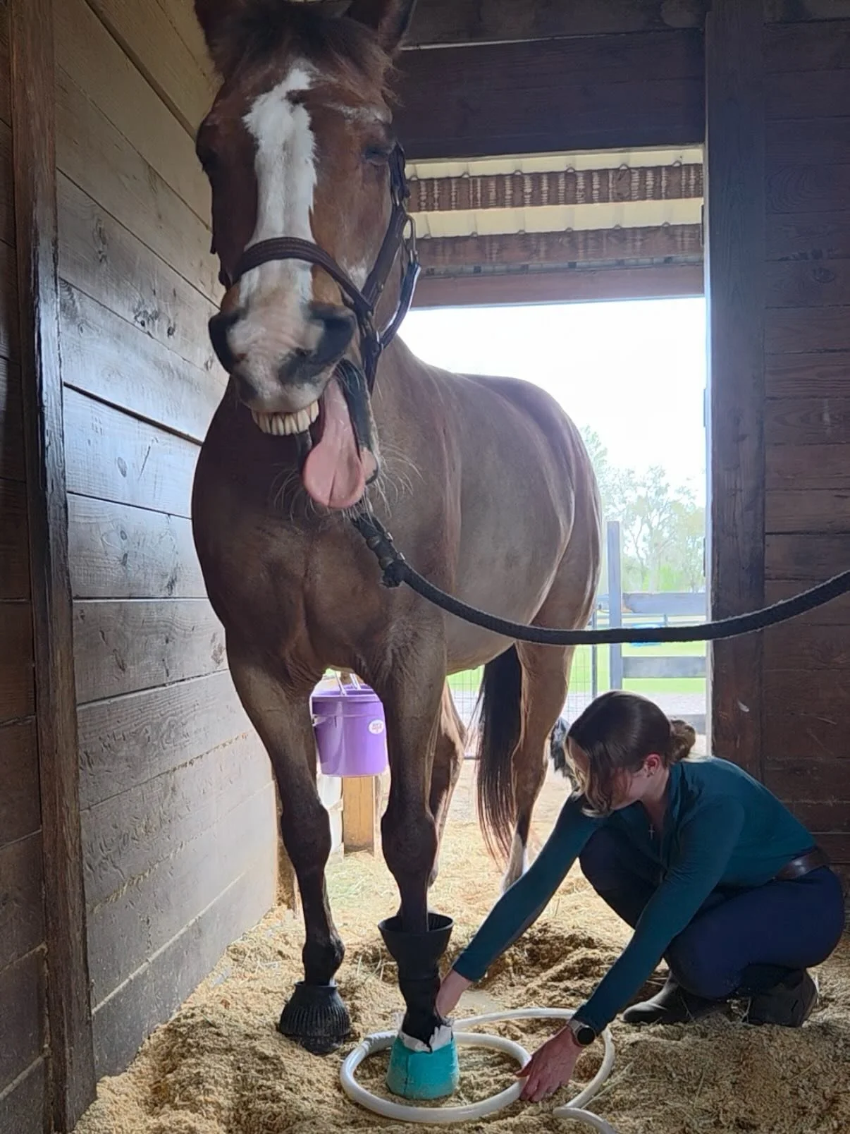 I am beyond excited to announce that I am now a certified MagnaWave practitioner! 🎉 Dixie Creek Equine Therapy is now offering MagnaWave PEMF treatment! 〽️🧲If you aren&rsquo;t familiar, Pulsed Electromagnetic Fields, or PEMF,  is a non-invasive for