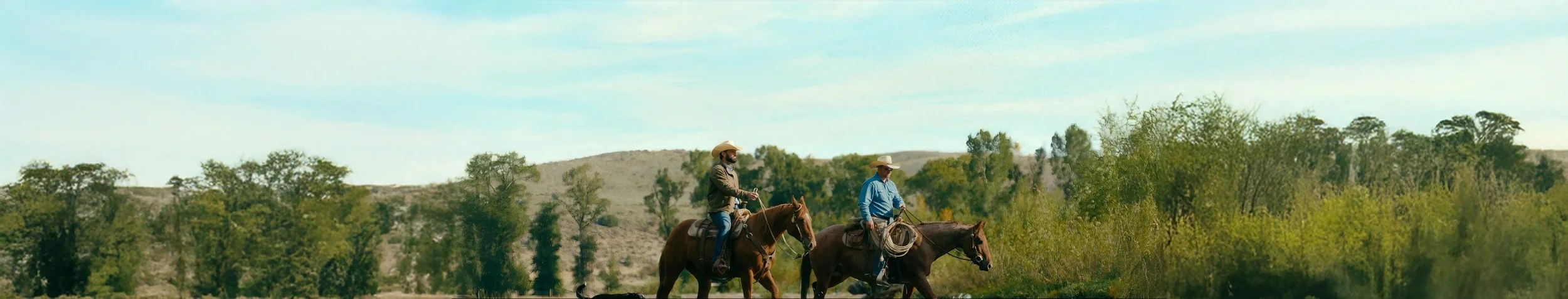 Two men riding horses along a rural landscape with trees and hills under a blue sky.