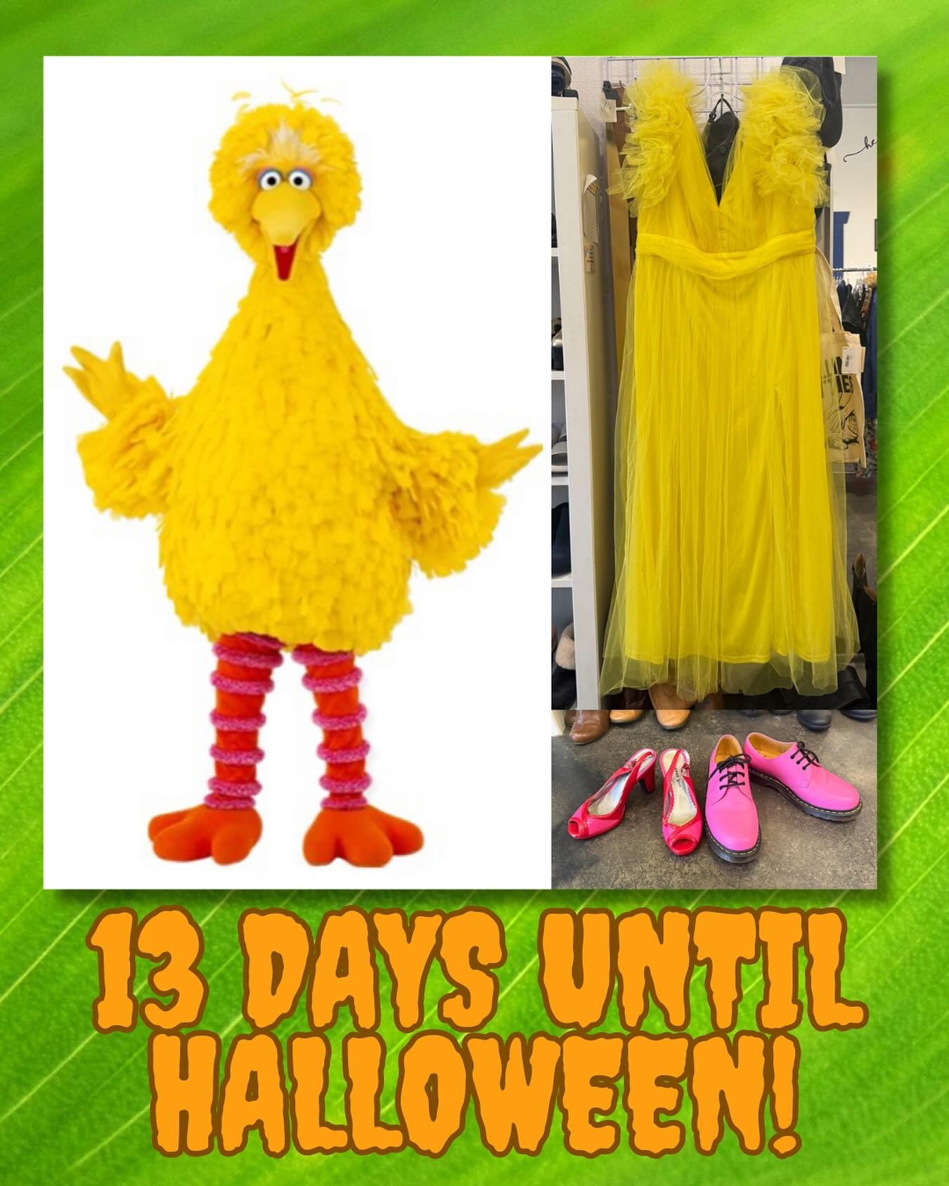 The clock is ticking&hellip; what are you gonna be? Come see us and we can help with ideas! #bigbird #wholesomehalloween #costumes #costumeideas #plussizecostumes #iwantsecondspdx