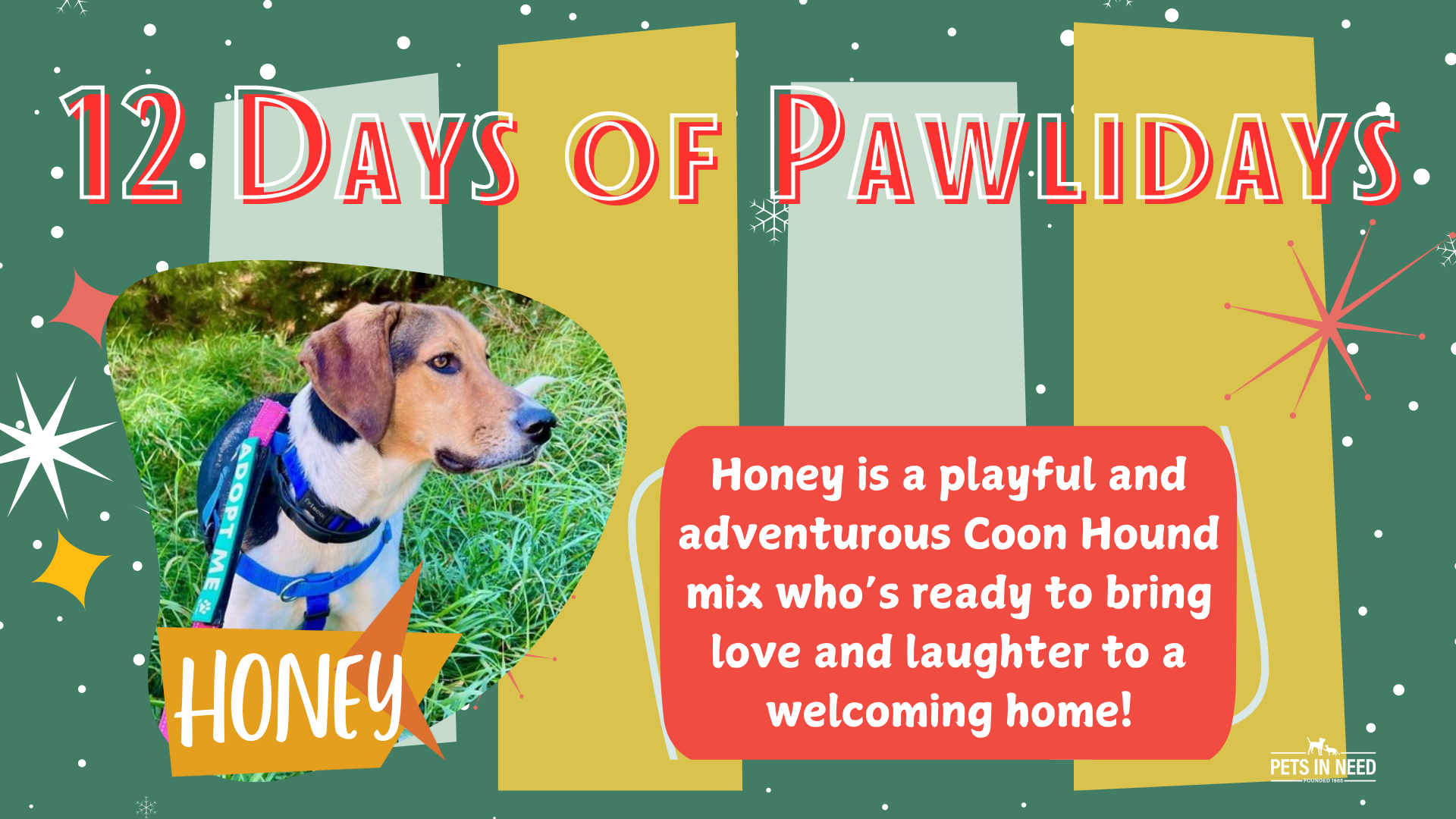 2024+Pawlidays+-+Honey+Banner.png