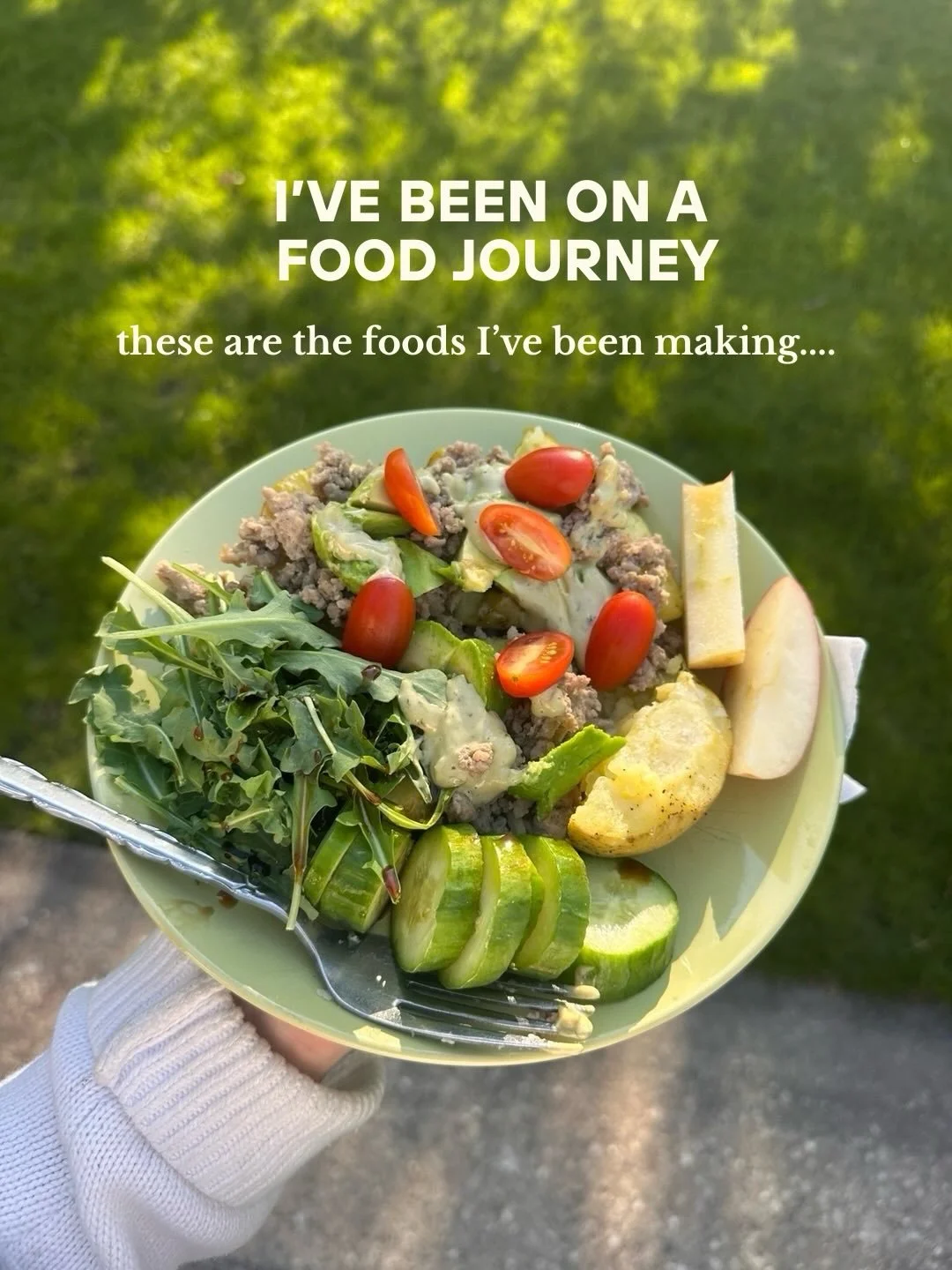 I&rsquo;ve been on a food journey to create delicious, protein-filled meals with clean &amp; whole ingredients because of my struggles with gut health, energy levels, hormones, excess weight, overeating, and using food as a coping mechanism. 

Truly,