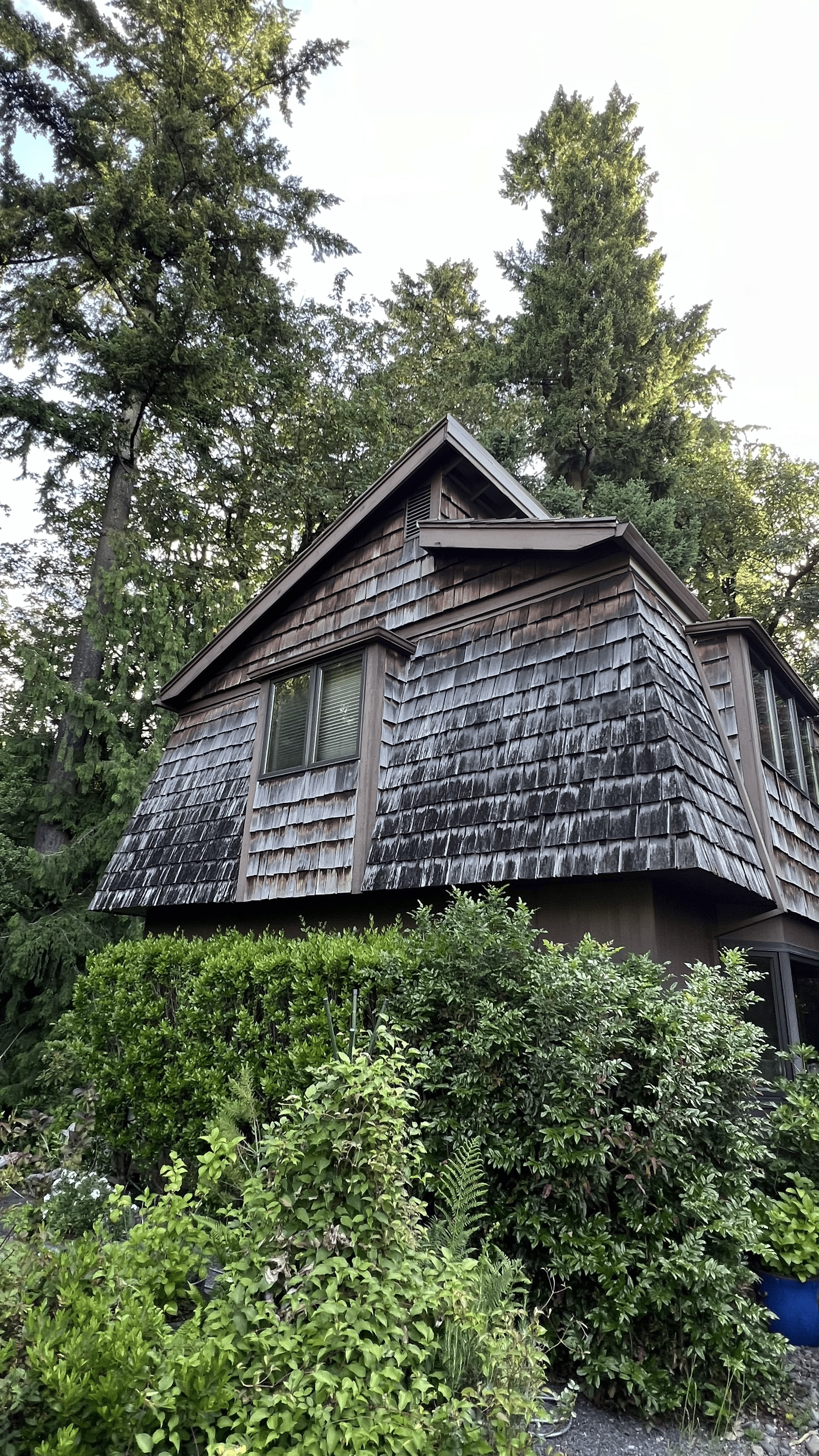 Cedar Siding before 1.png