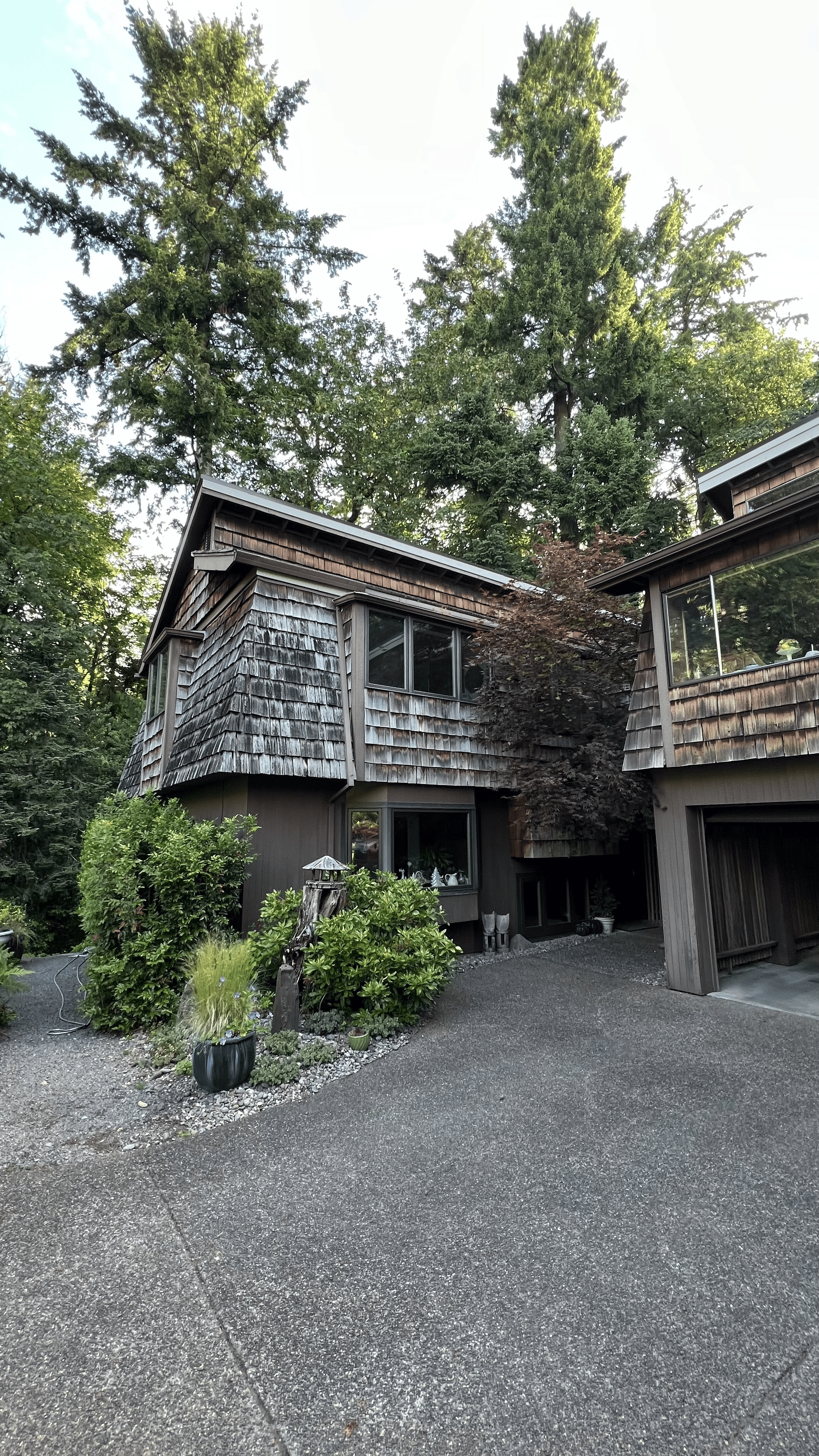 Cedar Siding before 2.png
