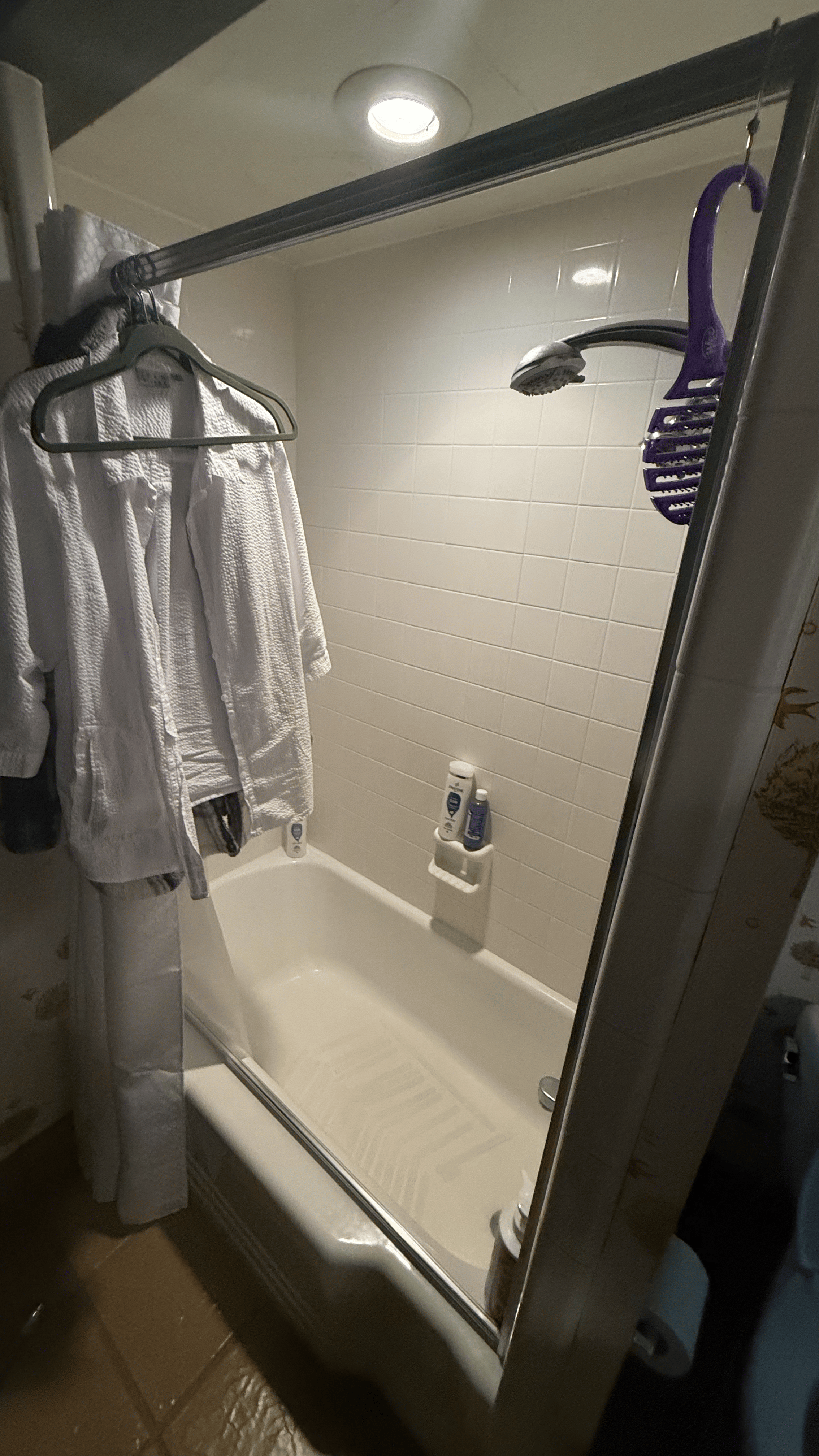 RSMbathroom1.png
