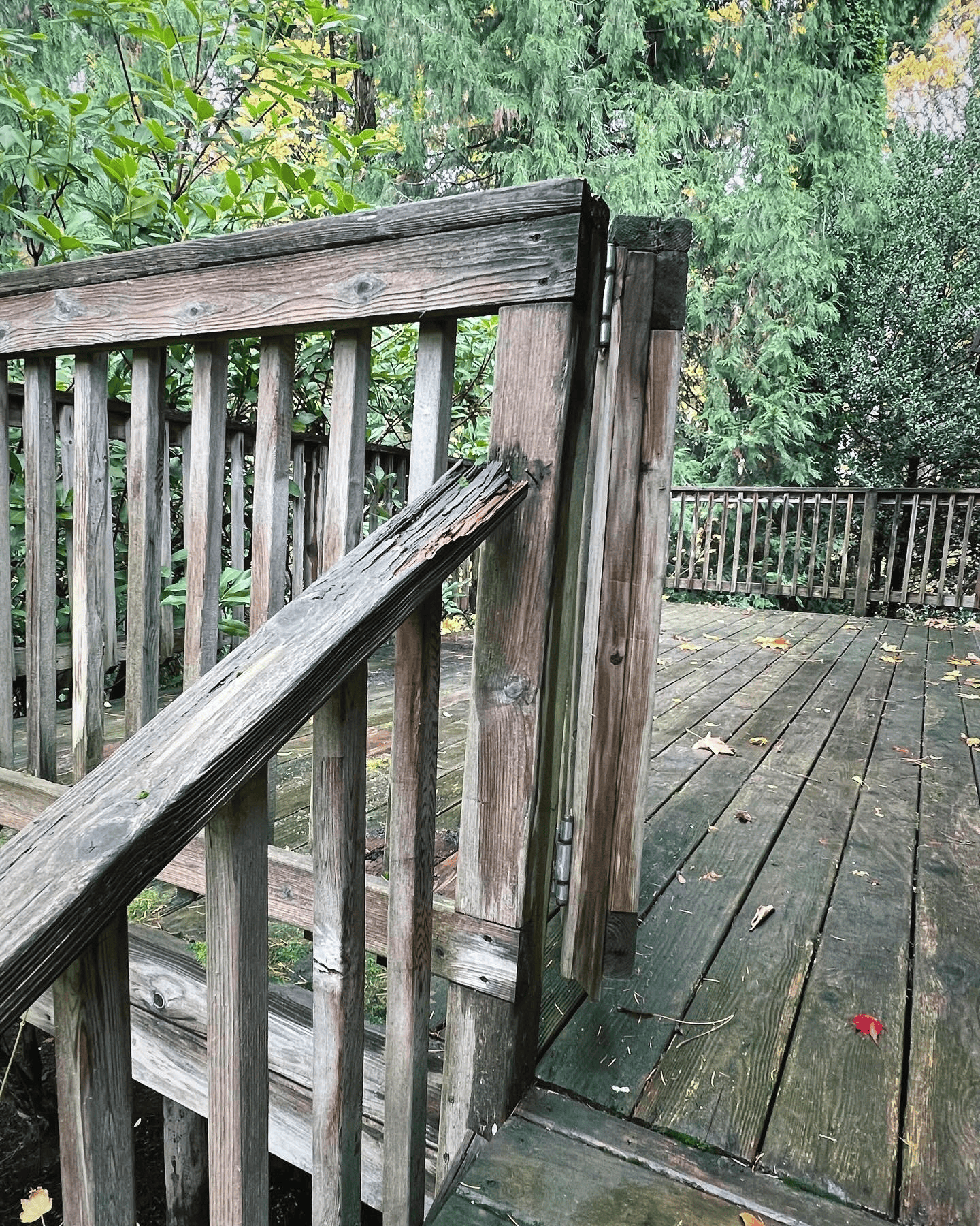Deck before.png