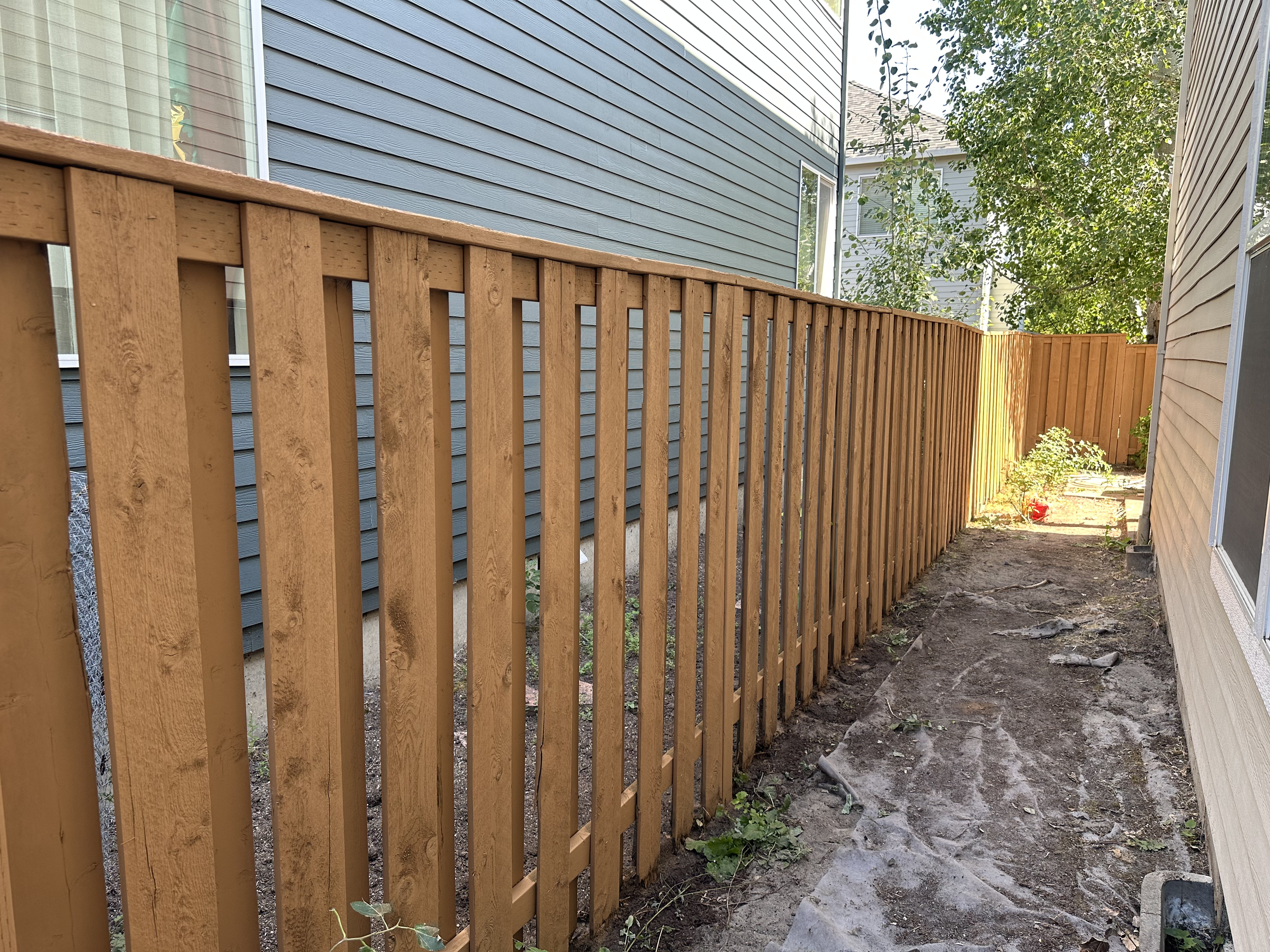 Backyard with a new wooden fence between two houses, dirt ground, and some greenery in the distance.