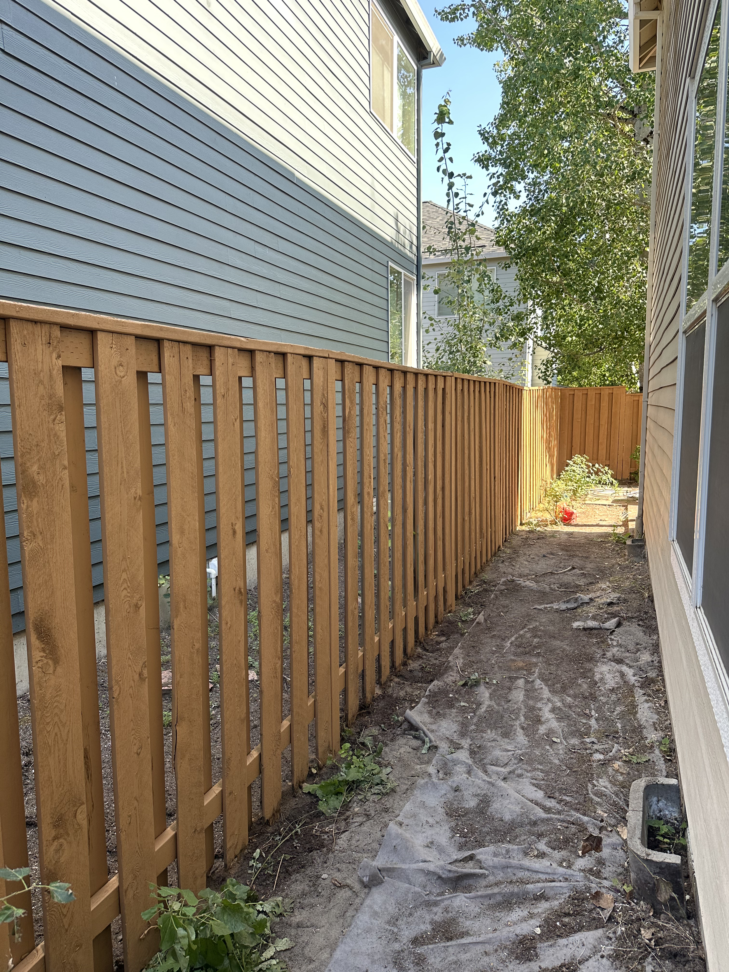 A backyard side yard with a new wooden fence running along the course of the yard, dirt ground with some sparse plants and a tree visible on the right side, neighboring houses visible in the background, blue sky.