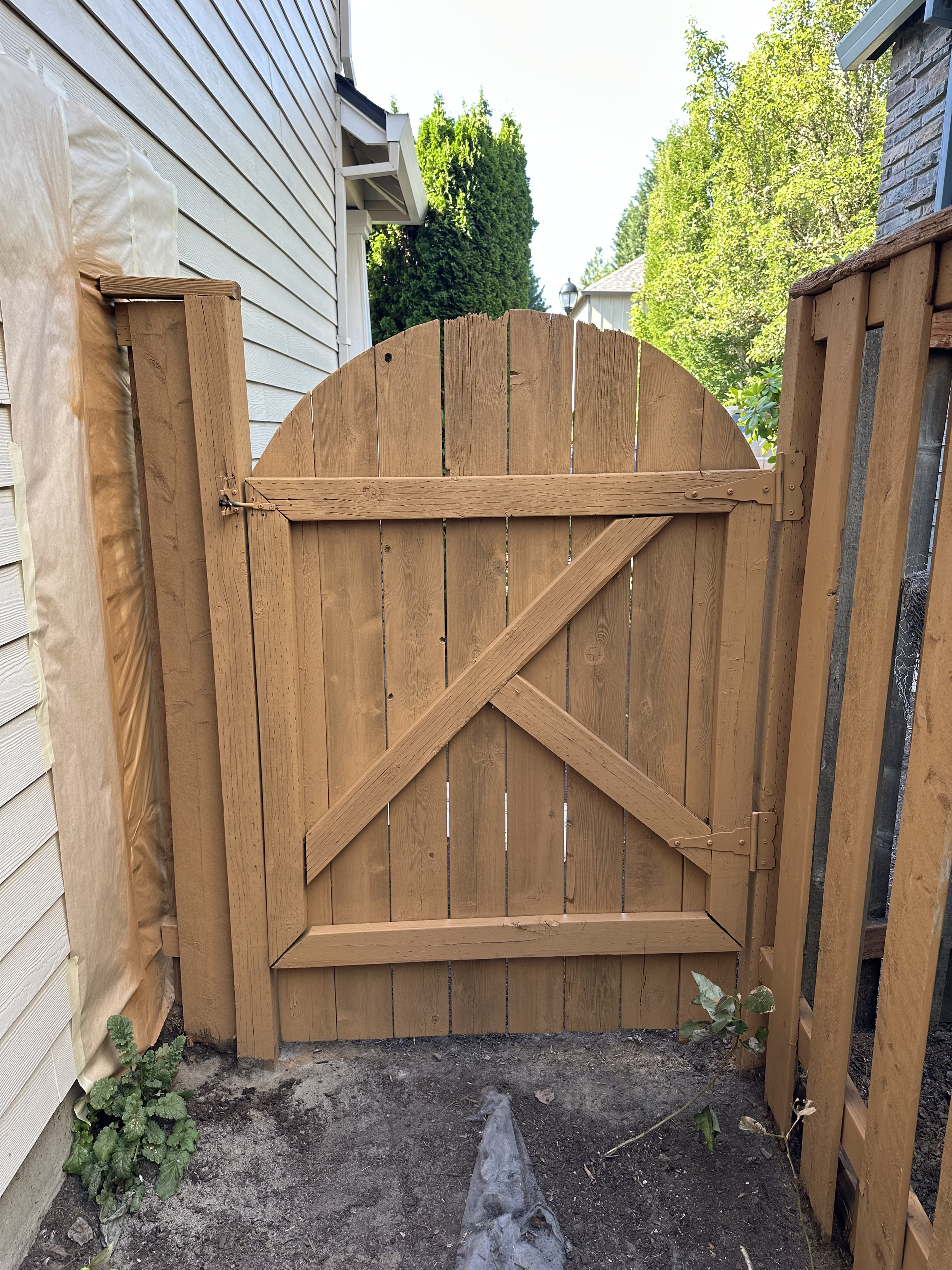 New wooden backyard gate with a rounded top, installed between a beige house and a wooden fencing panel, with greenery and trees in the background.