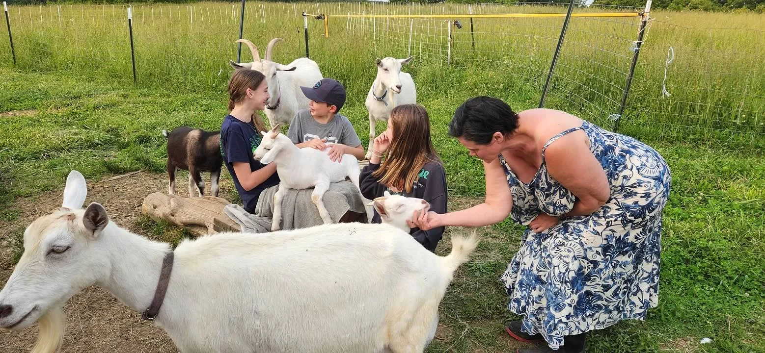 c and kids with lots of goats.jpg