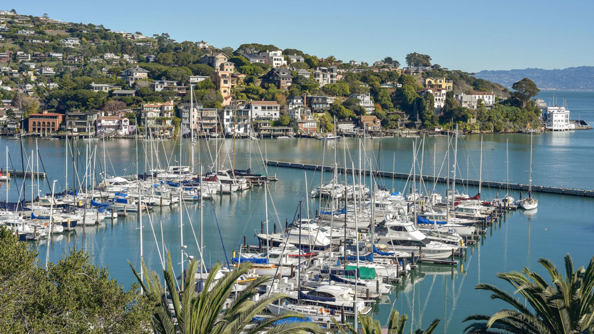 Marina filled with sailboats and yachts along a hillside residential area with multiple houses and buildings overlooking a bay.