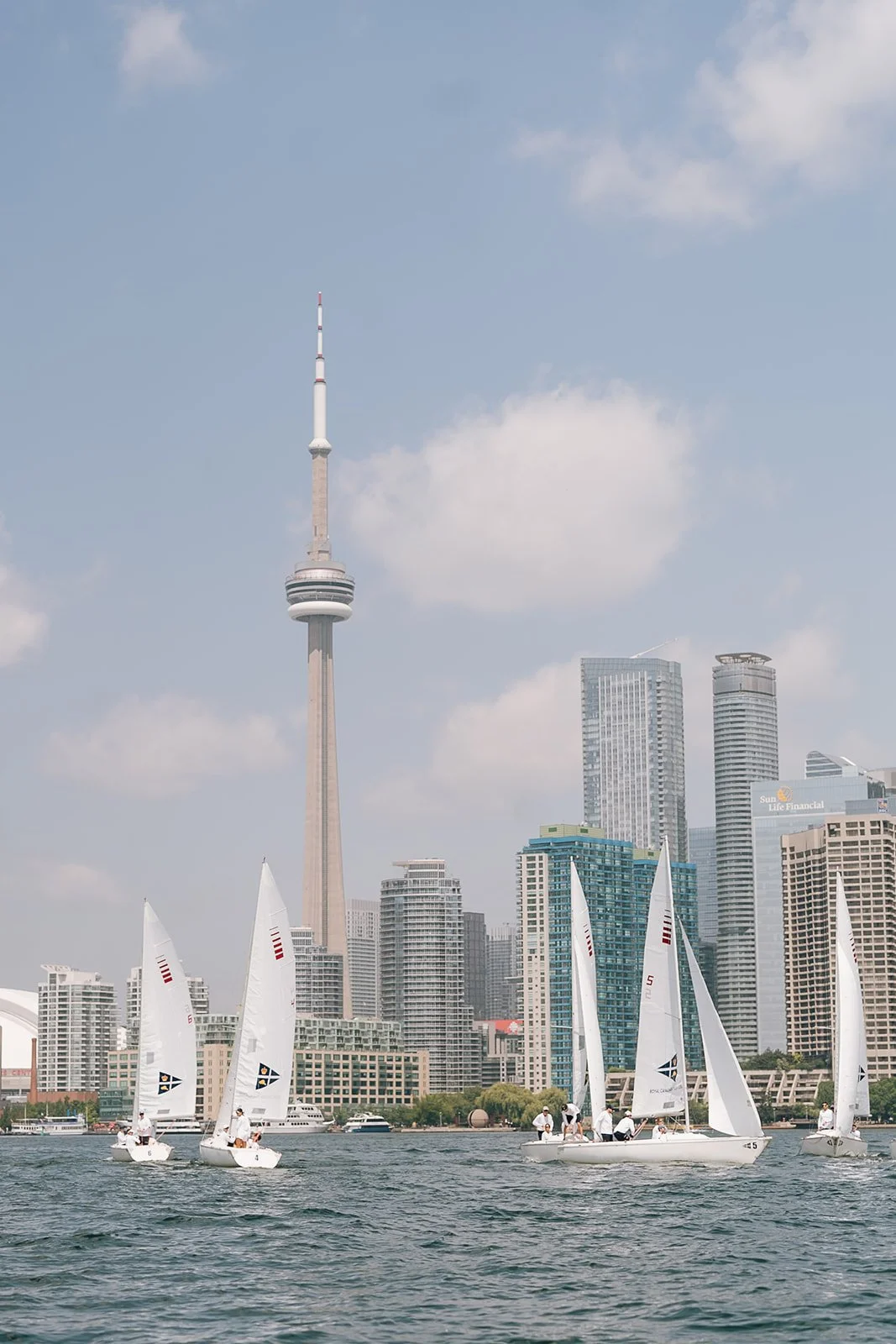 Regata Teasers-22.jpg